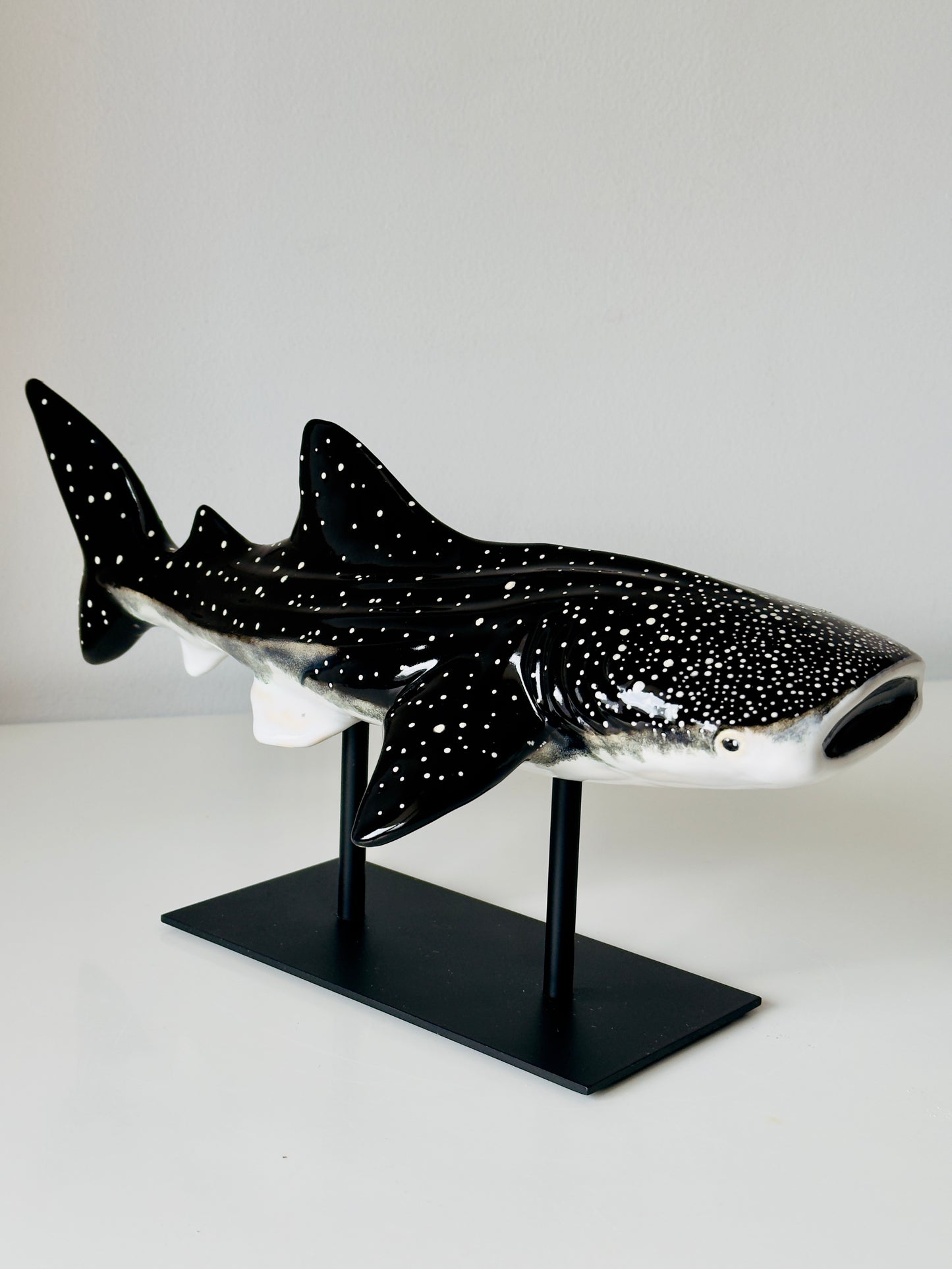 Whale Shark on a metal stand