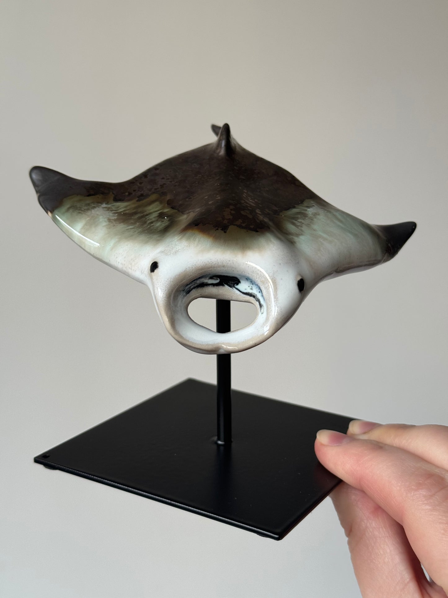 Manta Ray on a stand