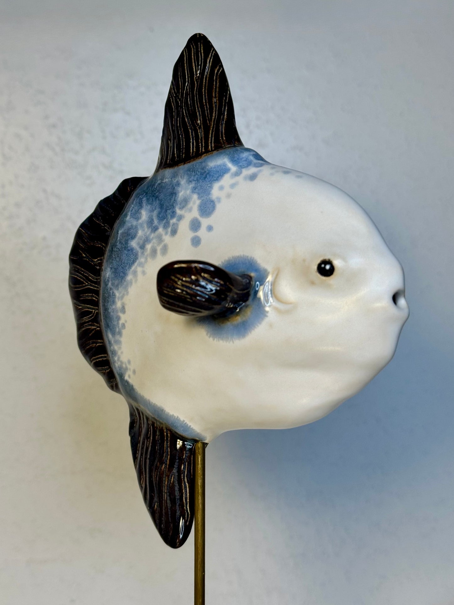 Mola Mola