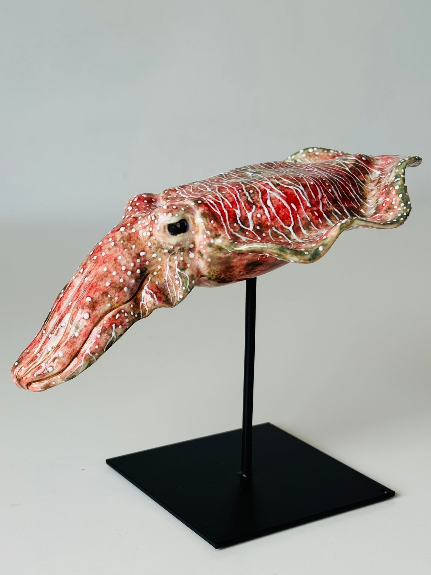 Cuttlefish