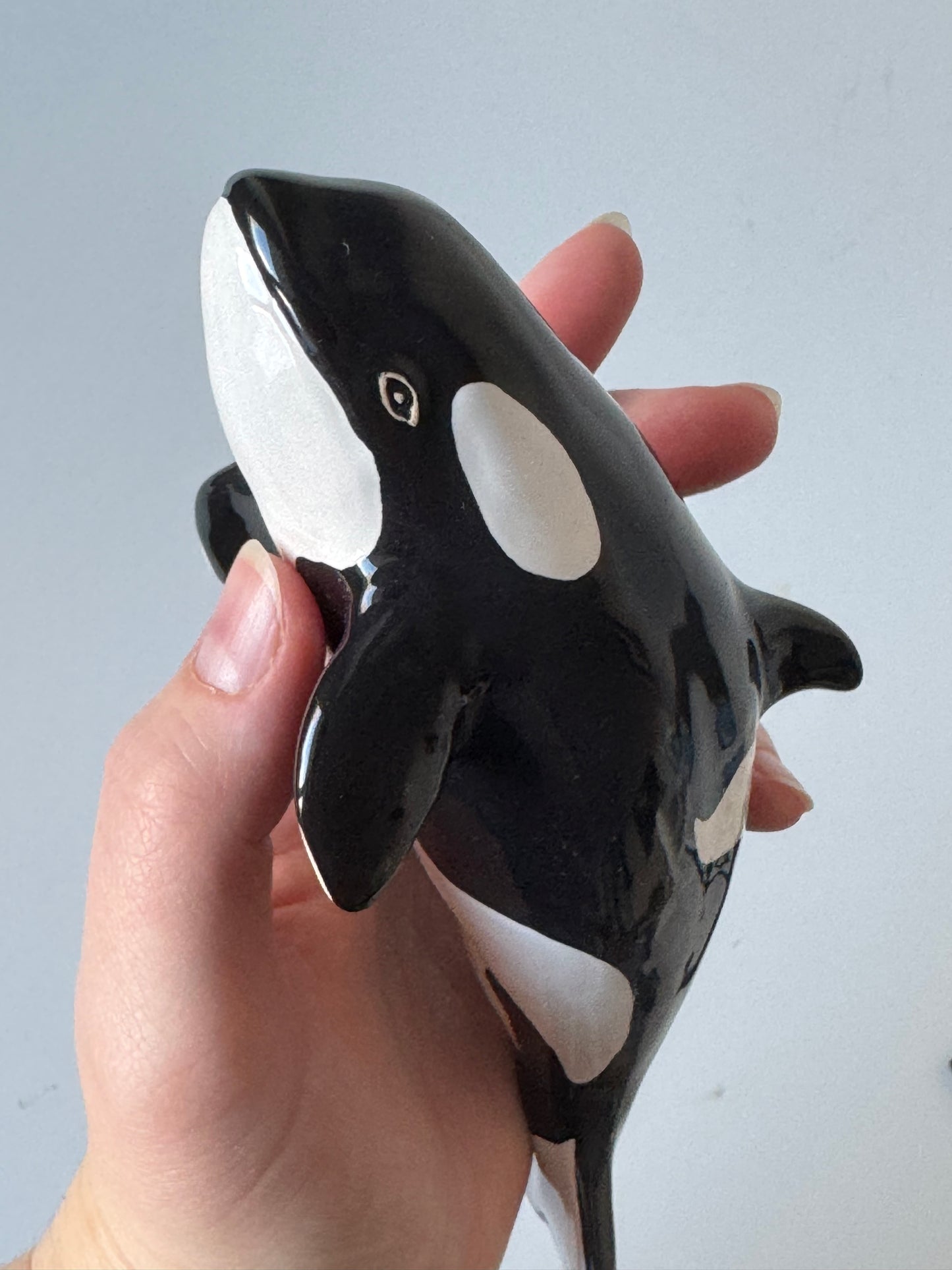 Baby Orca