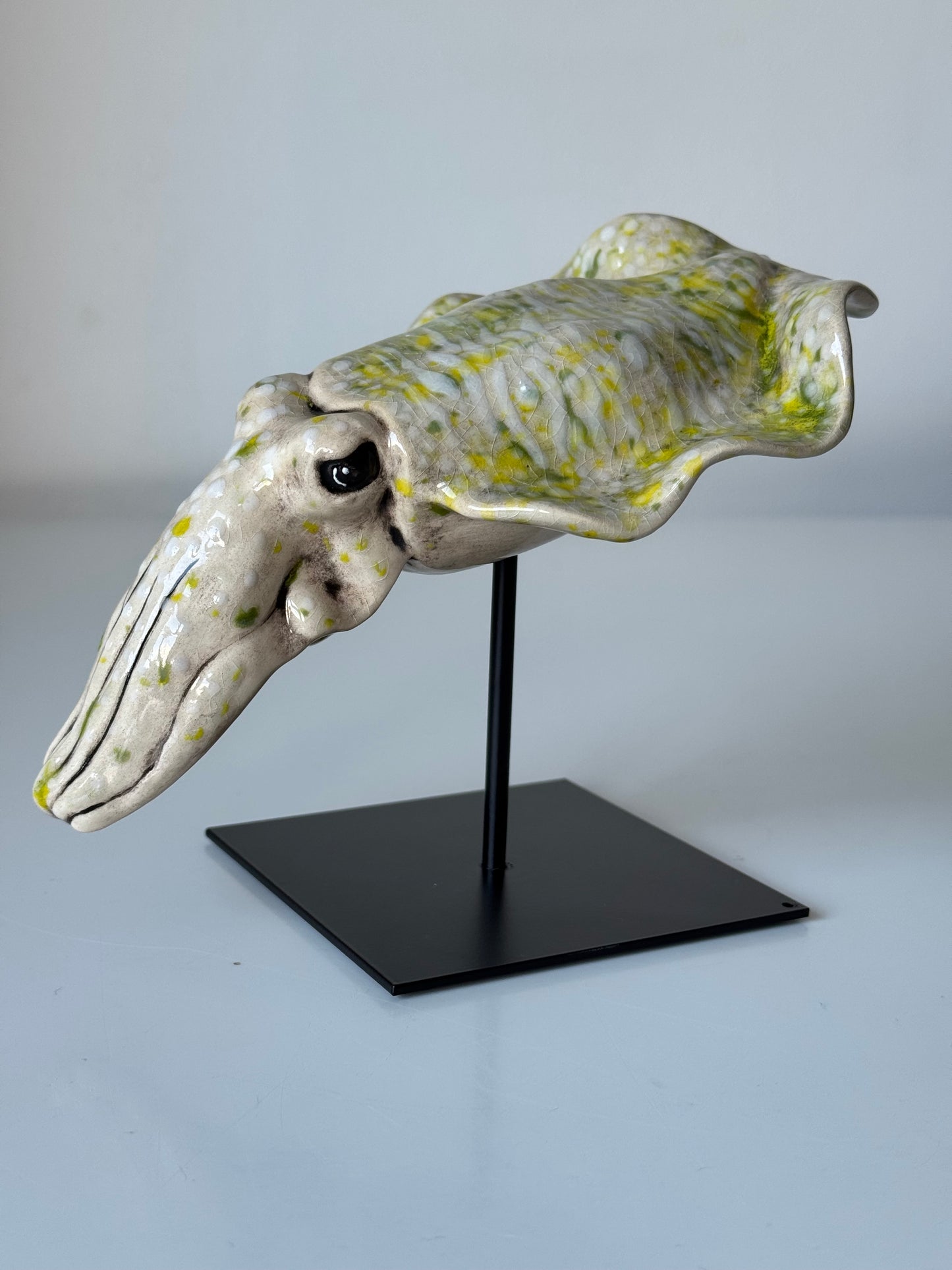 Cuttlefish