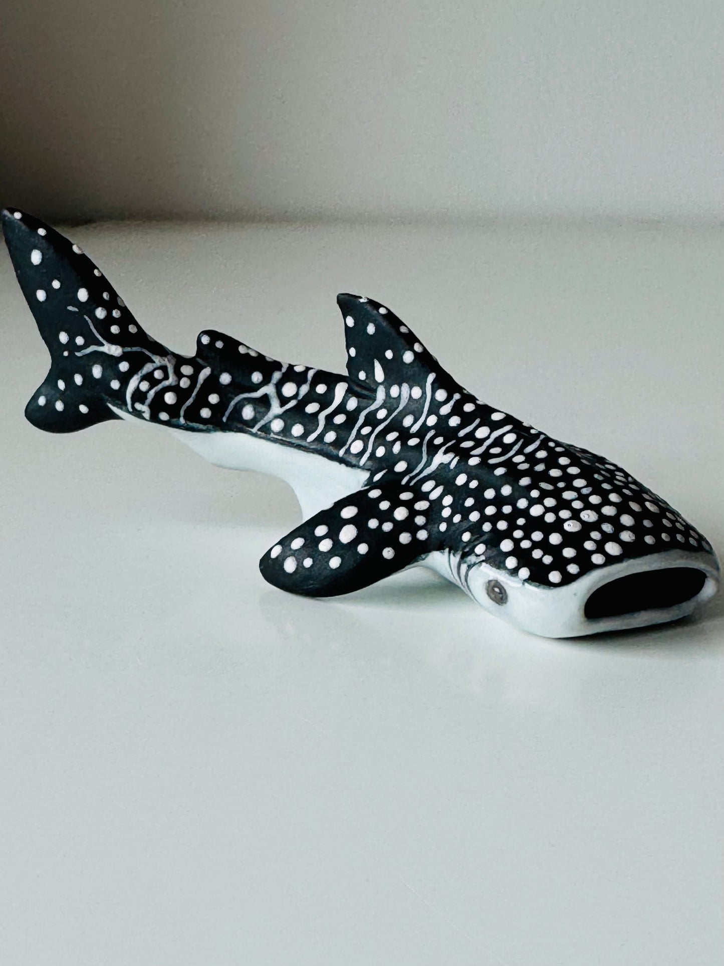 Baby Whale Shark