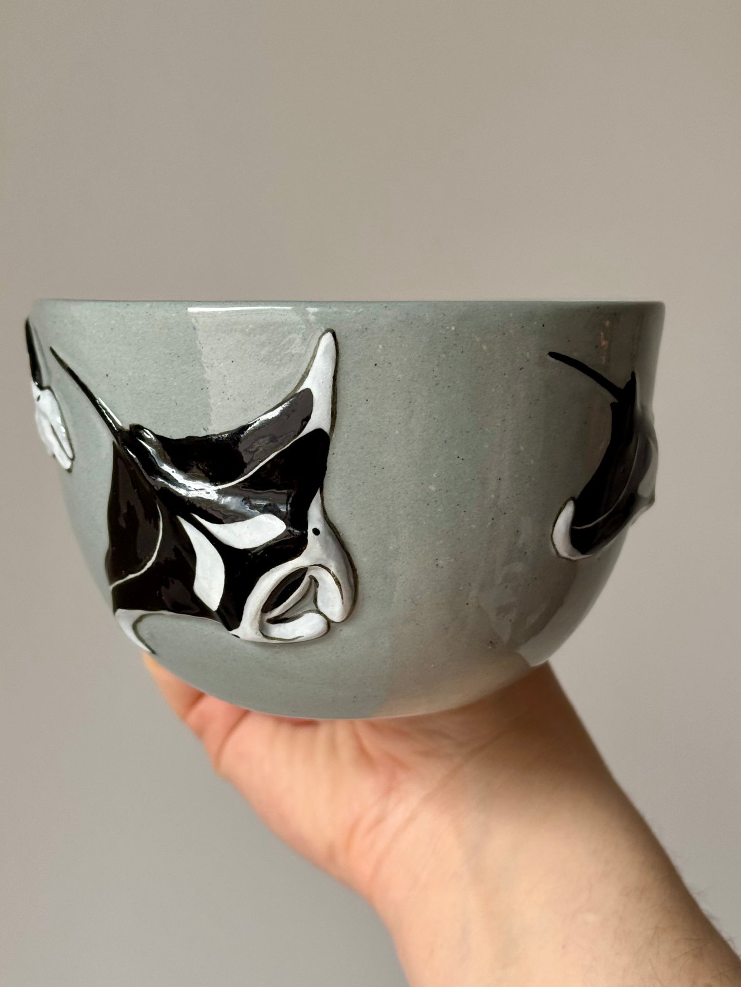 Flying Mantas Mug