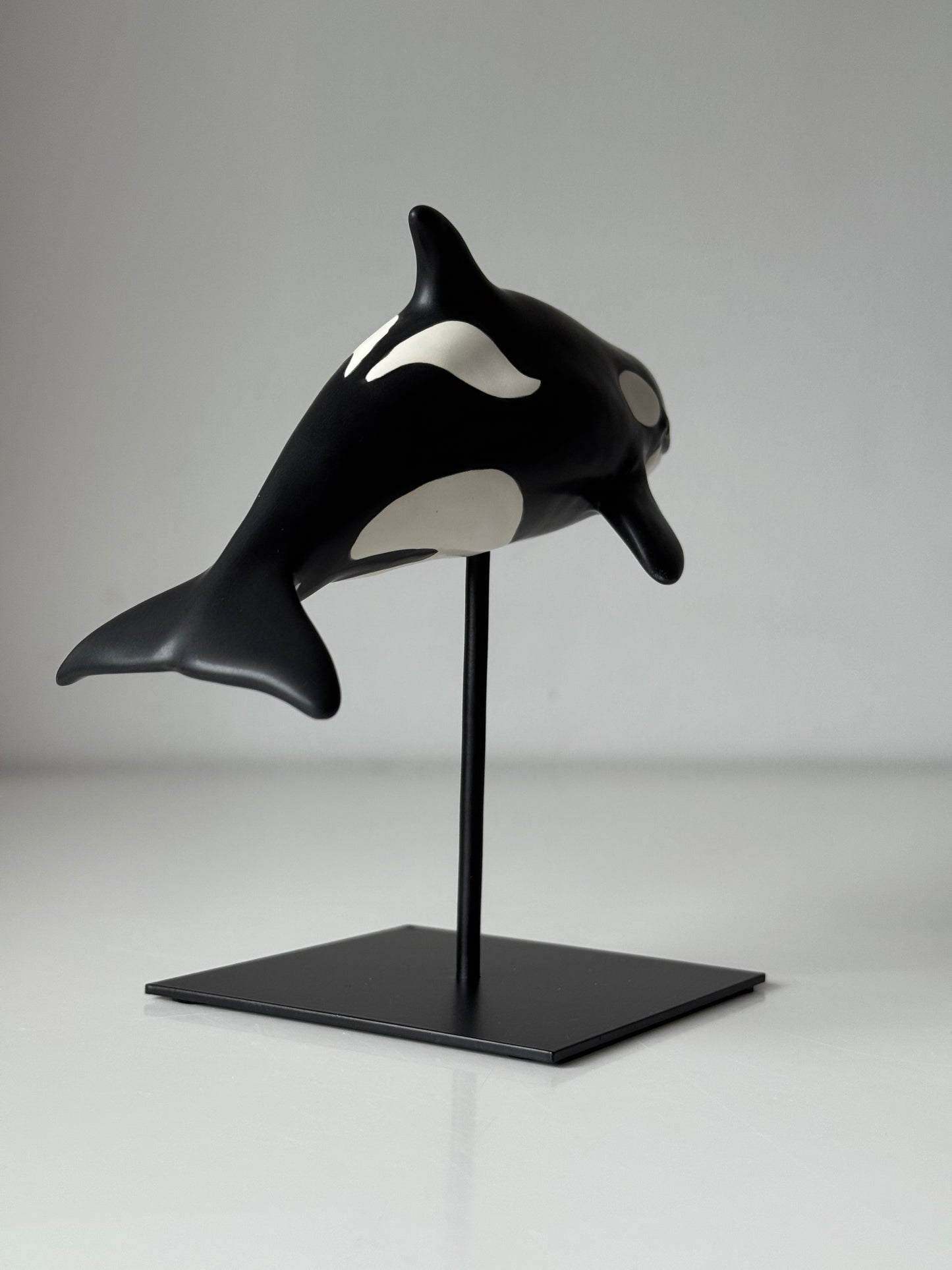Baby Orca
