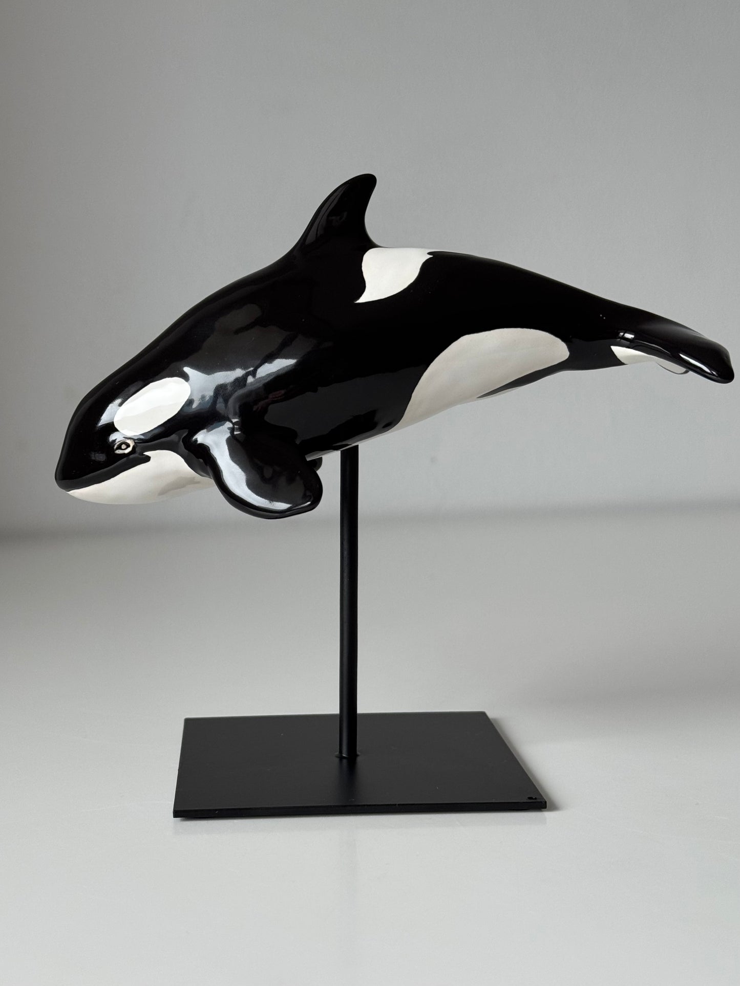 Baby Orca