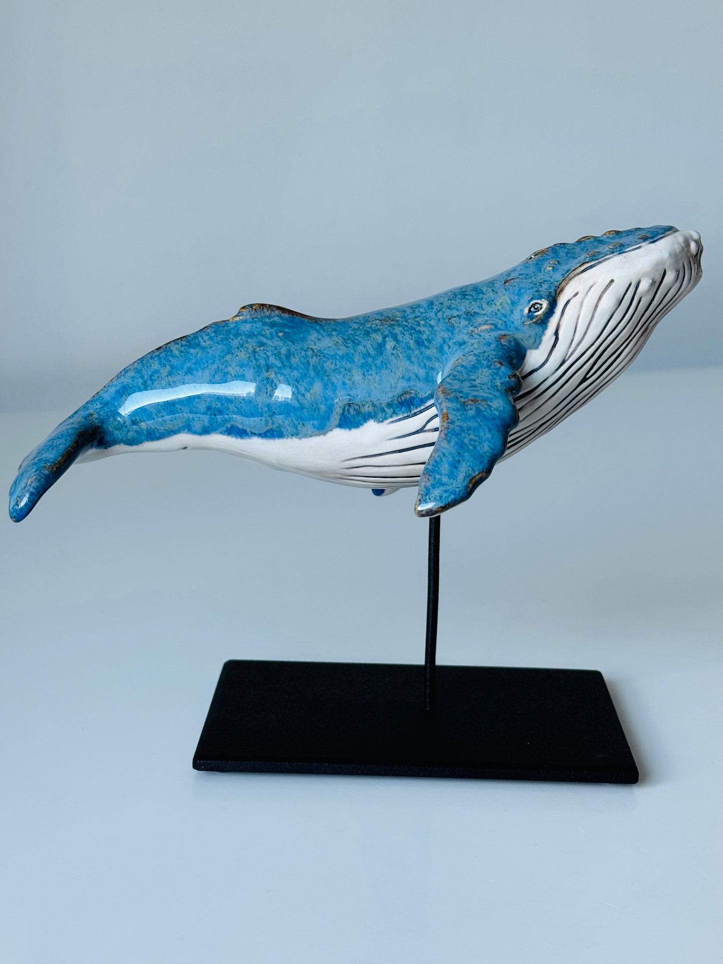 Baby Humpback Whale