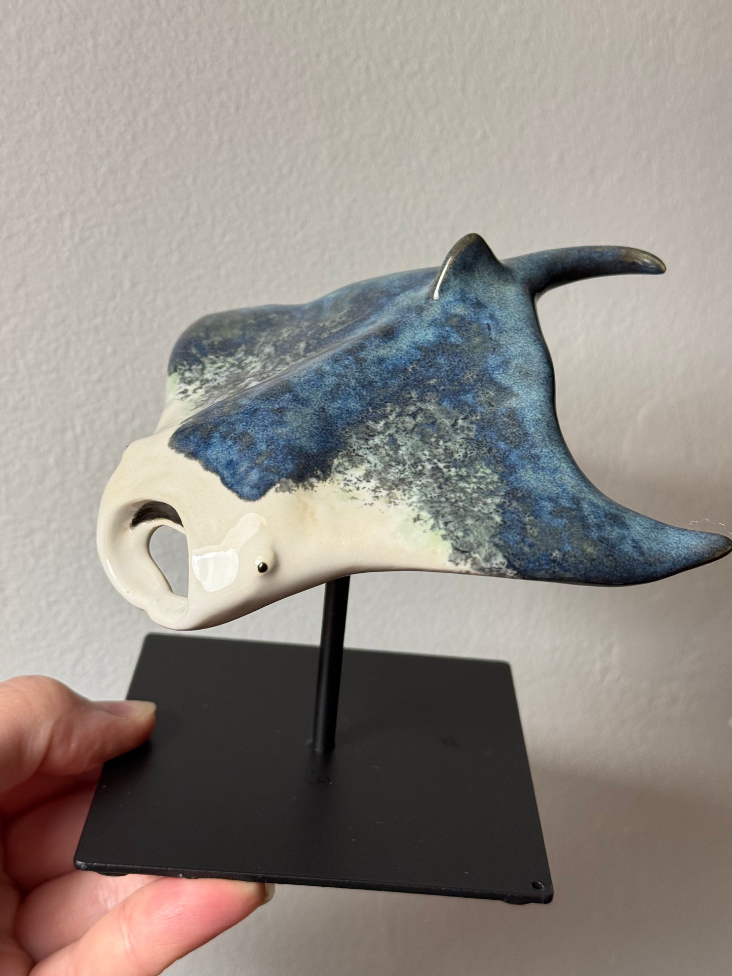 Manta Ray on a stand