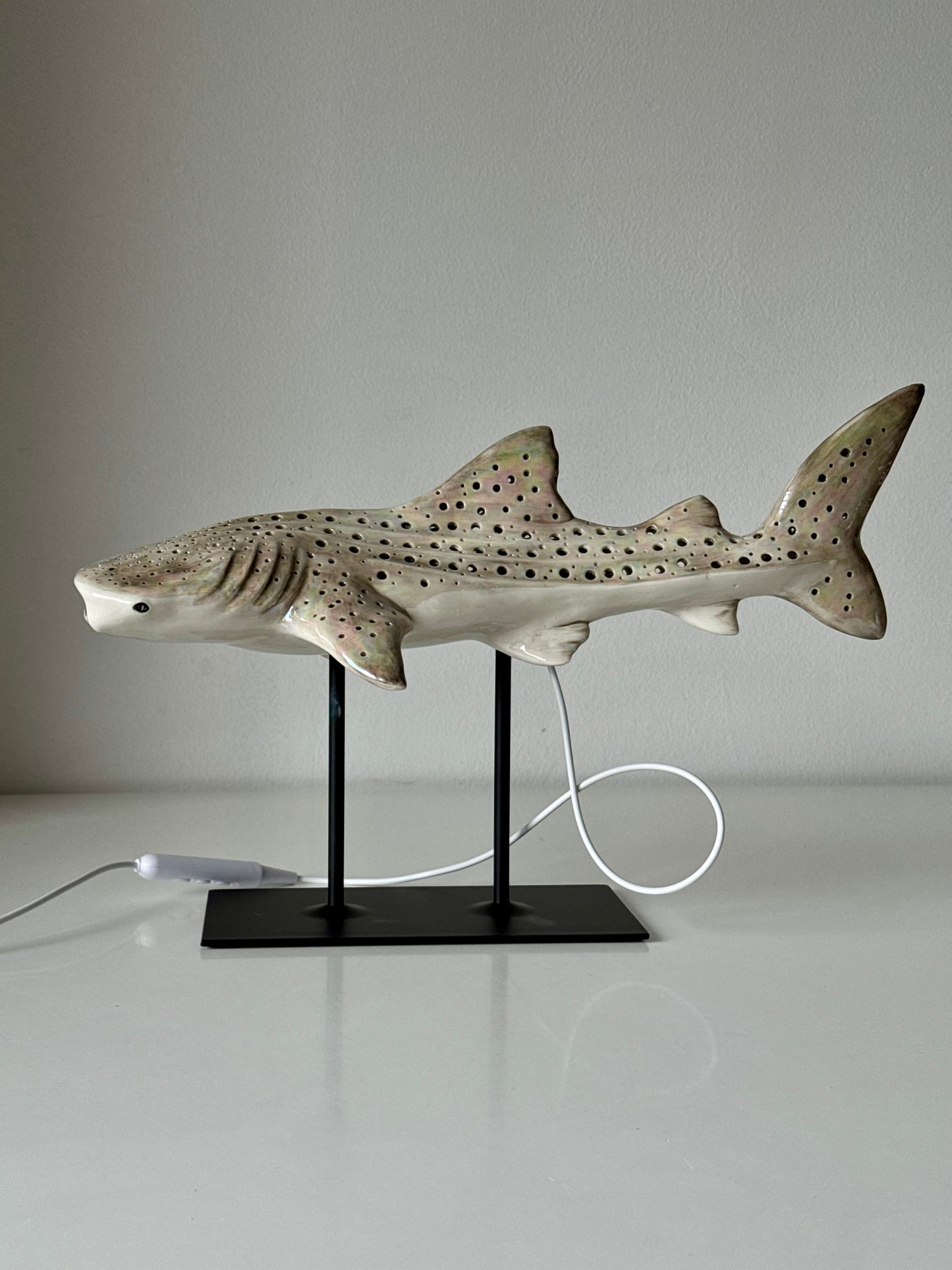 Shark Lamp