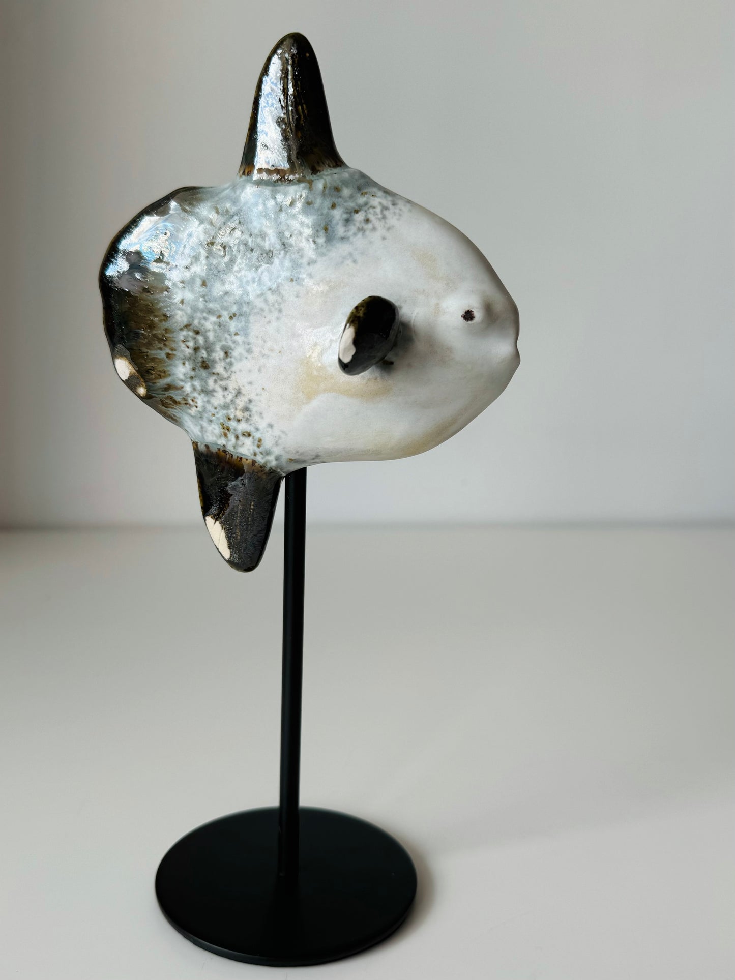 Mola Mola on a metal stand