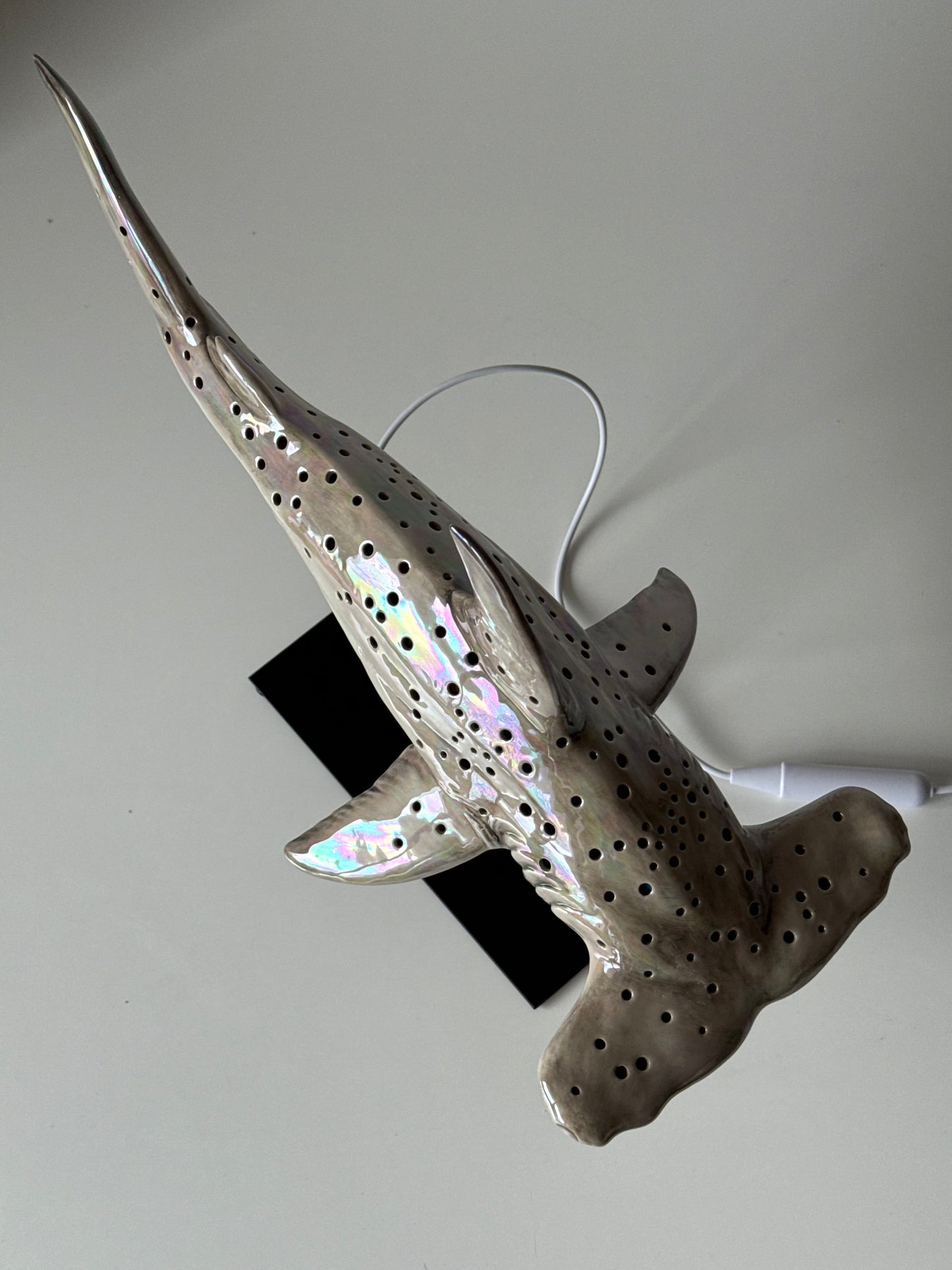 Hammerhead Shark Lamp