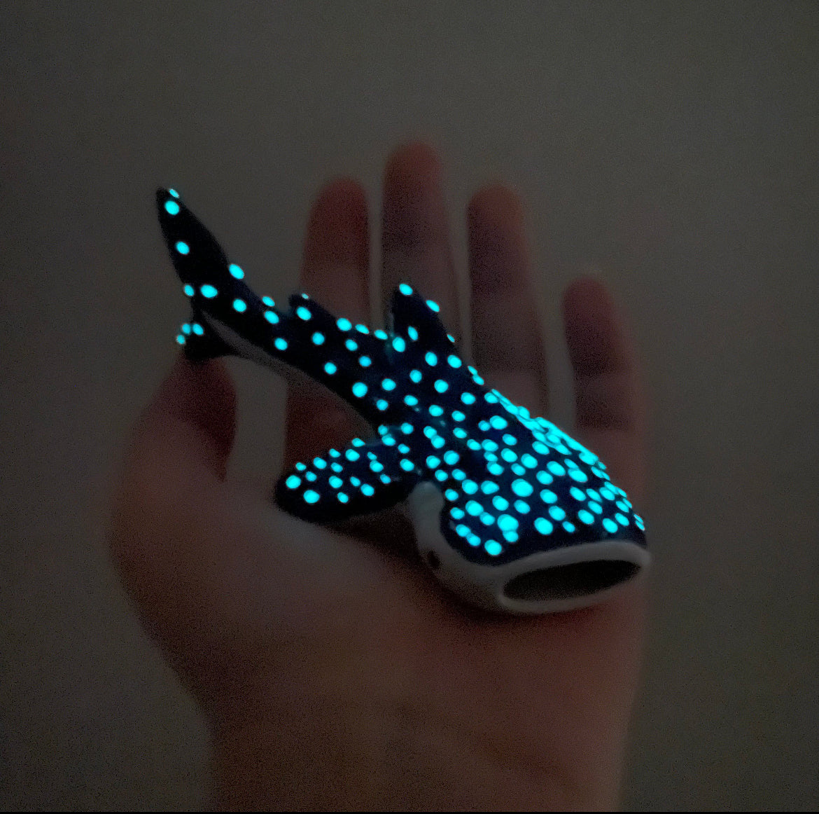 Glowing Baby Whale Shark