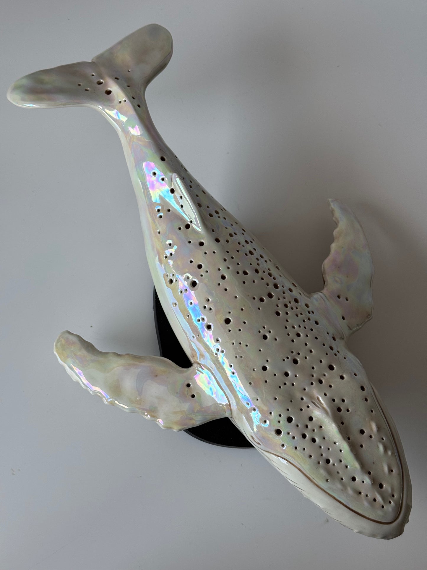 Porcelain Whale Lamp