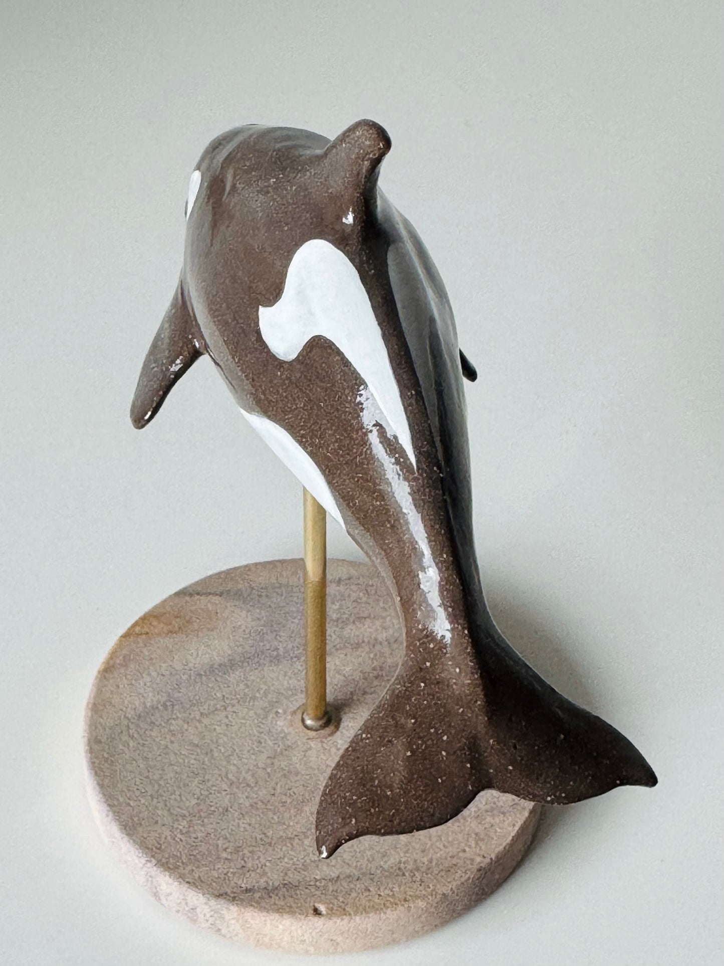 Baby Orca
