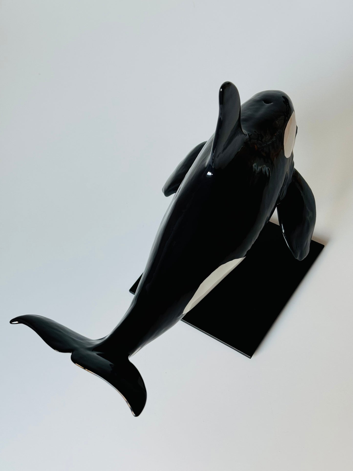 Male Orca on a stand