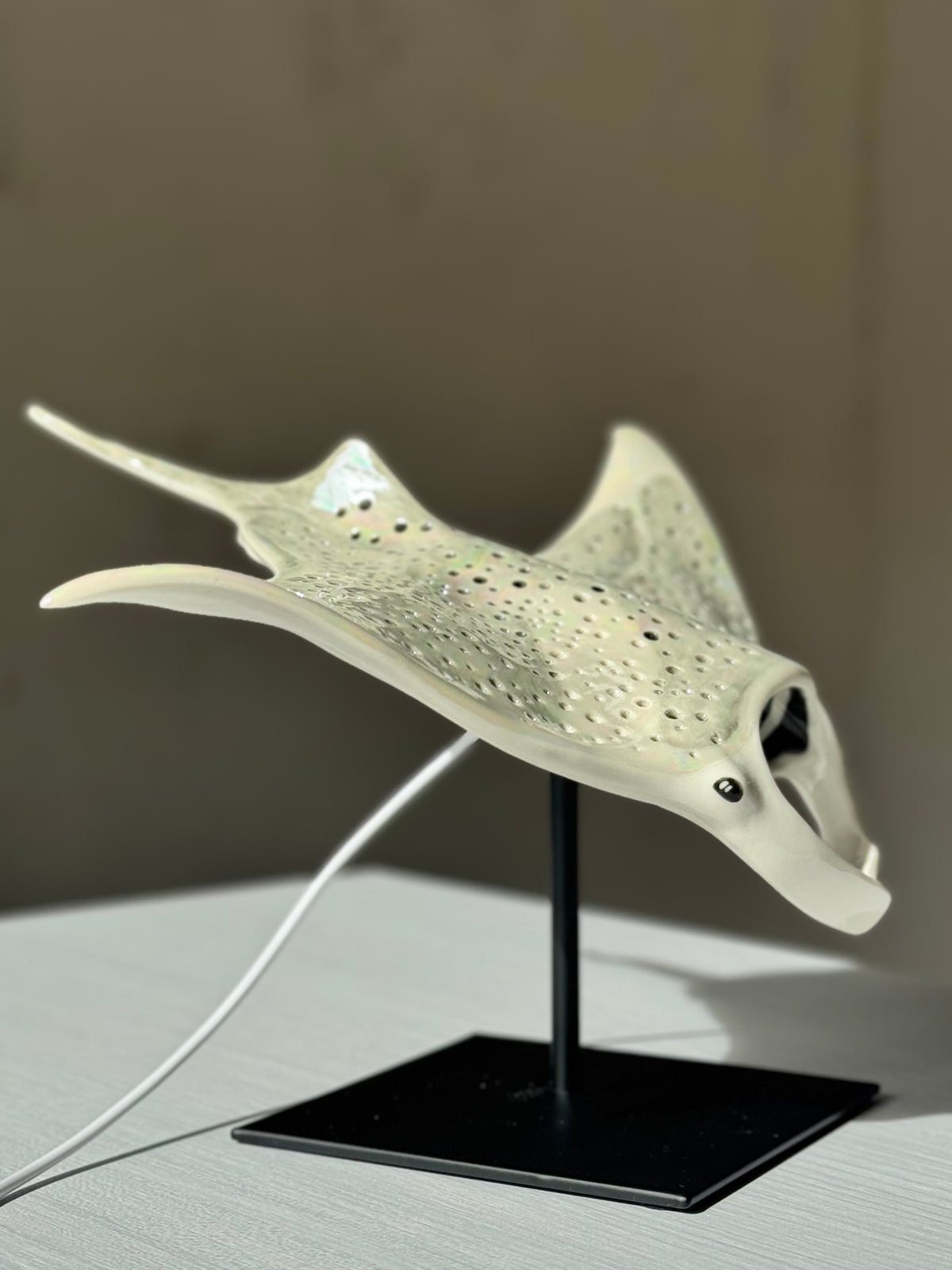 Big Manta Ray