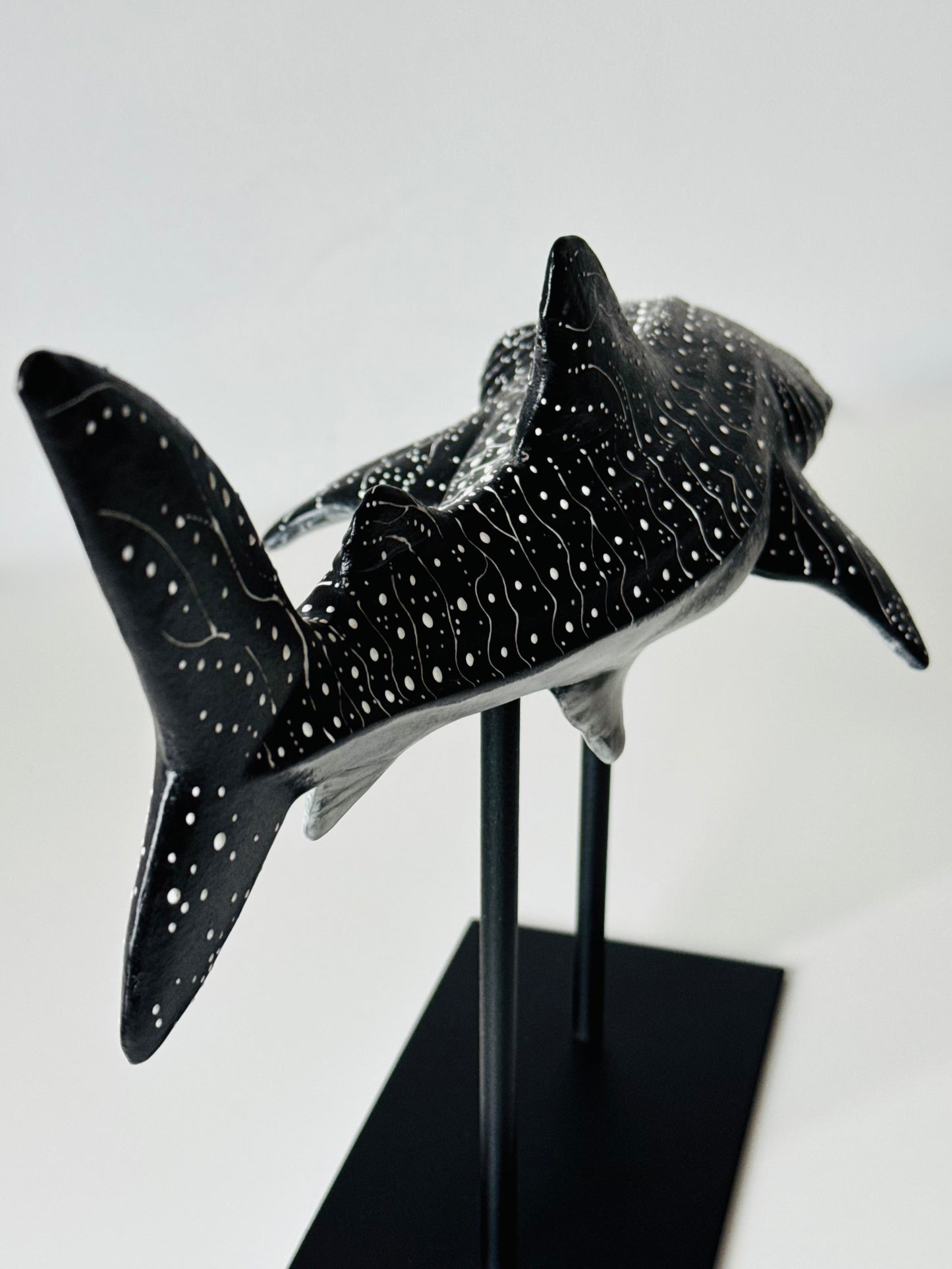 Whale Shark