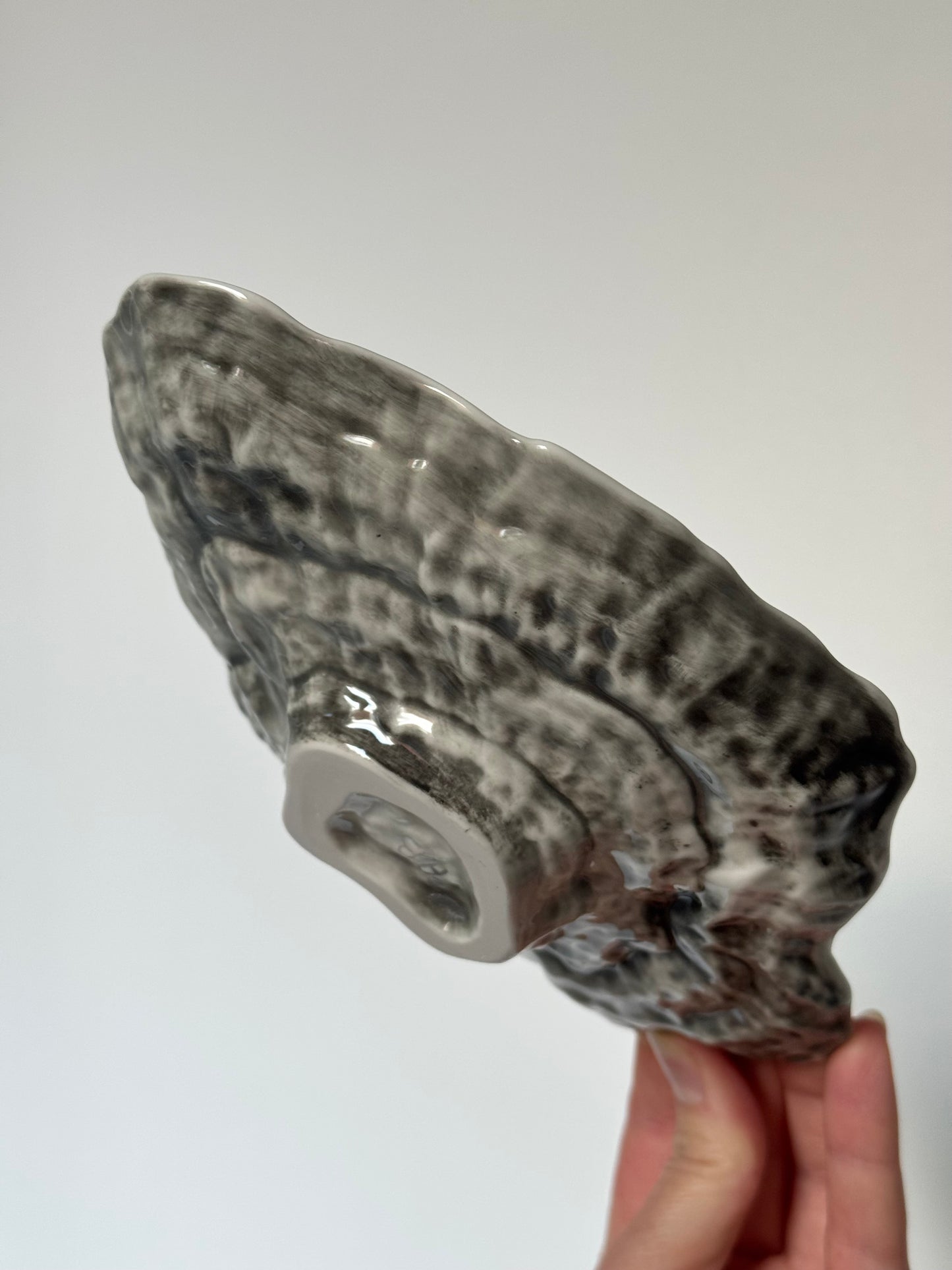 Shell-shaped plate