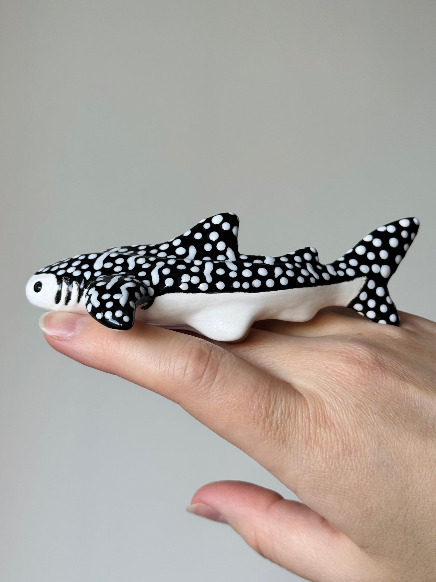 Baby Whale Shark