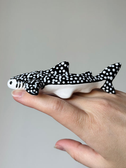 Baby Whale Shark