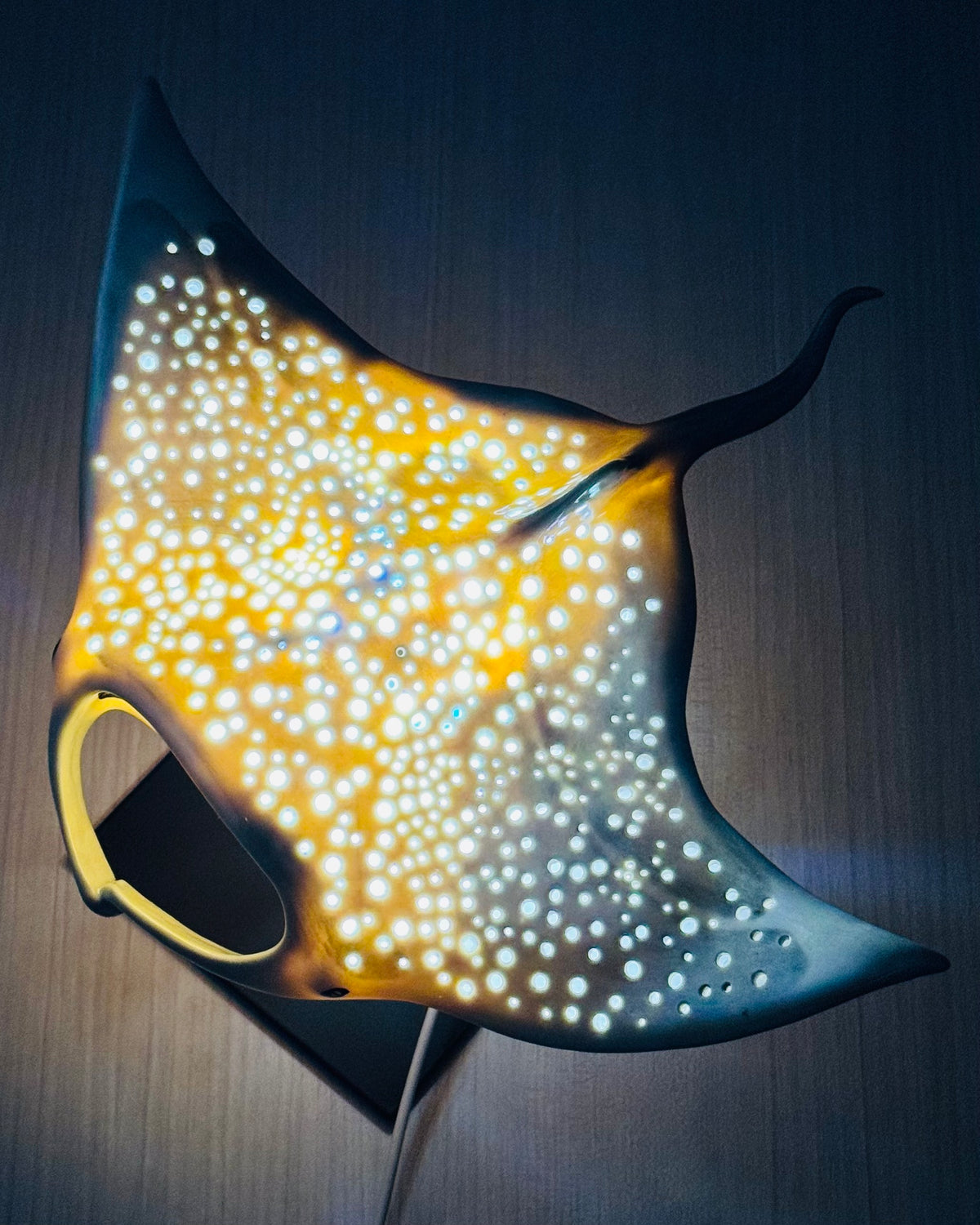 Big Manta Ray