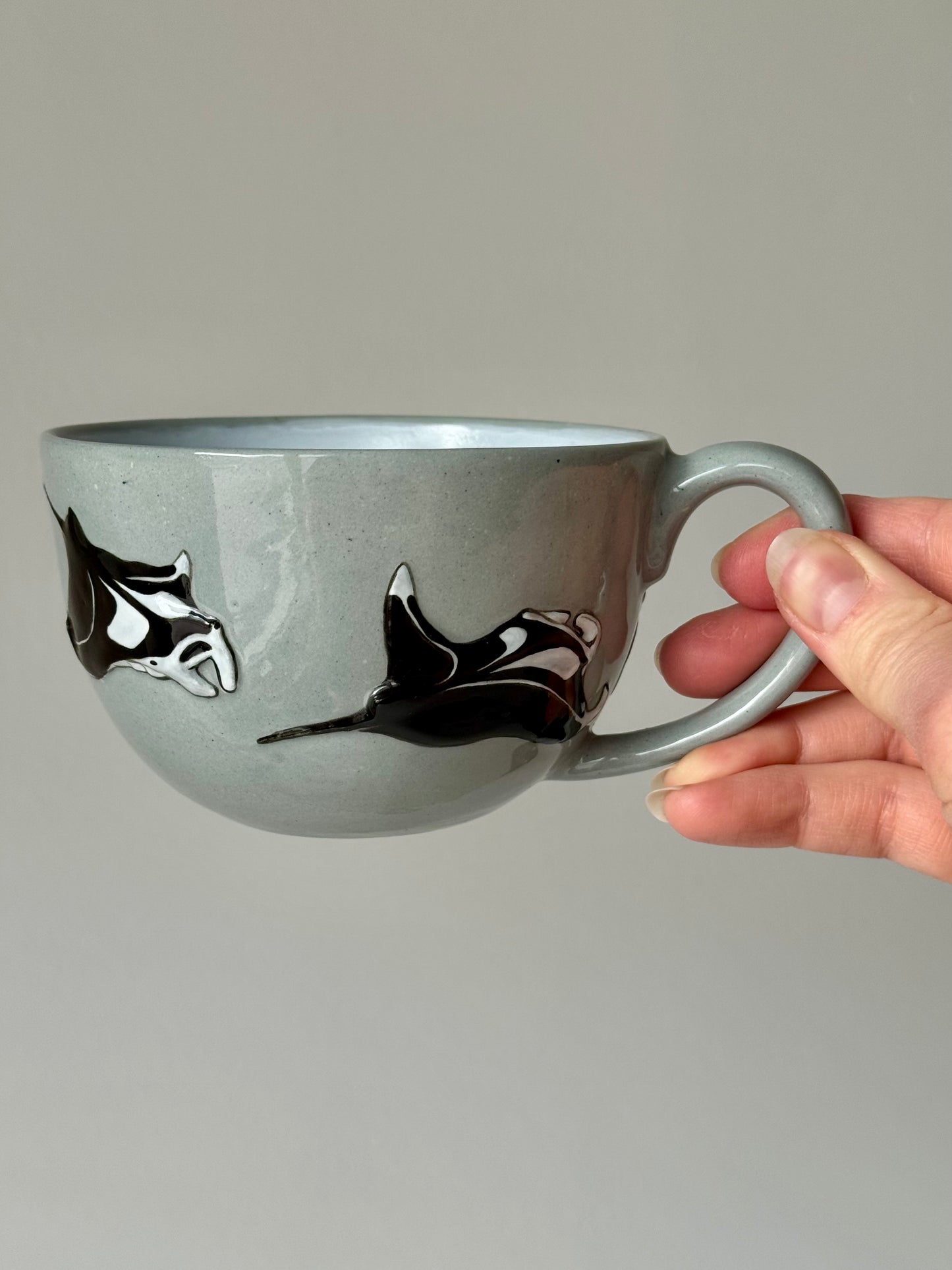Flying Mantas Mug