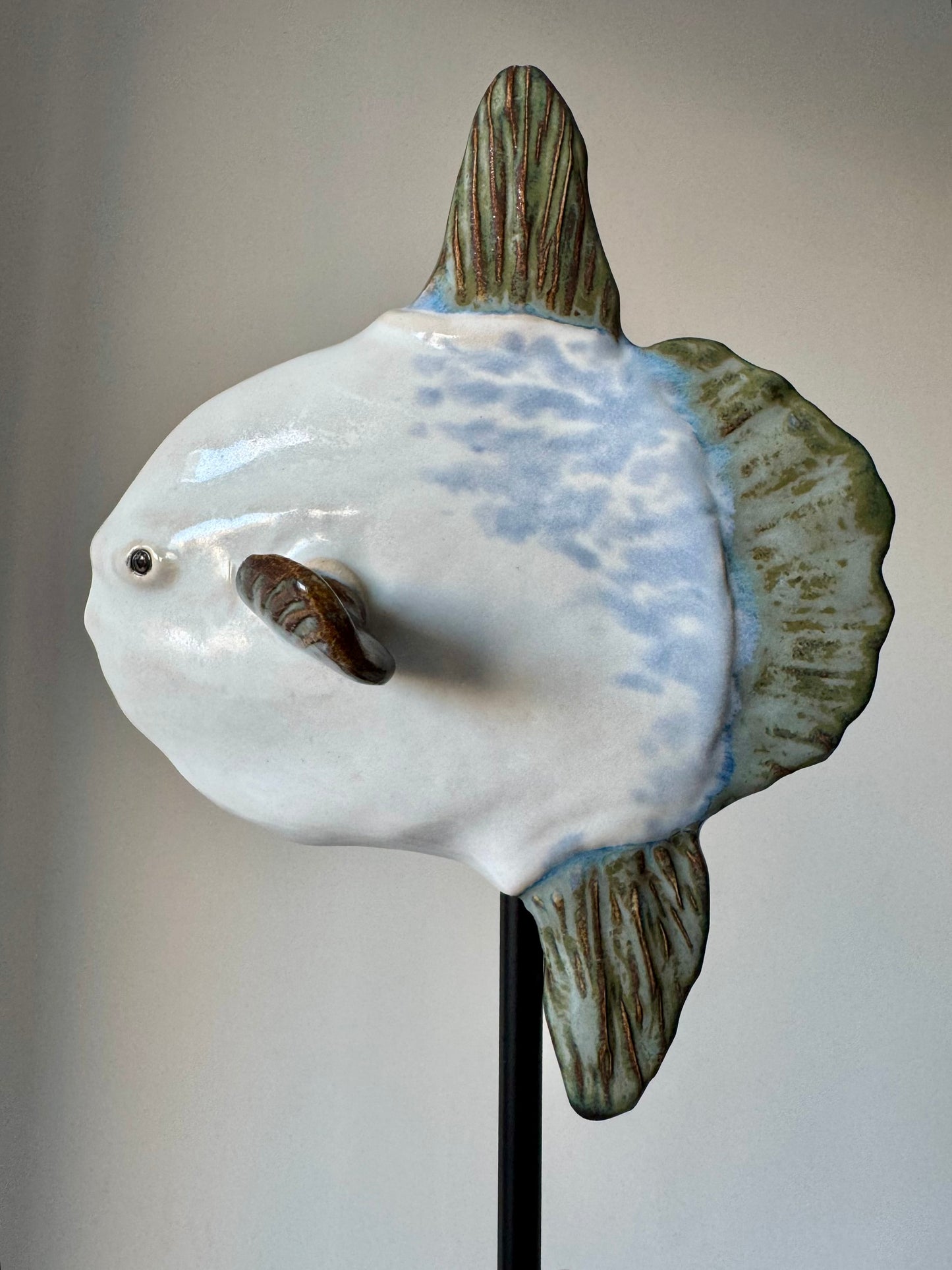 Mola Mola on a metal stand