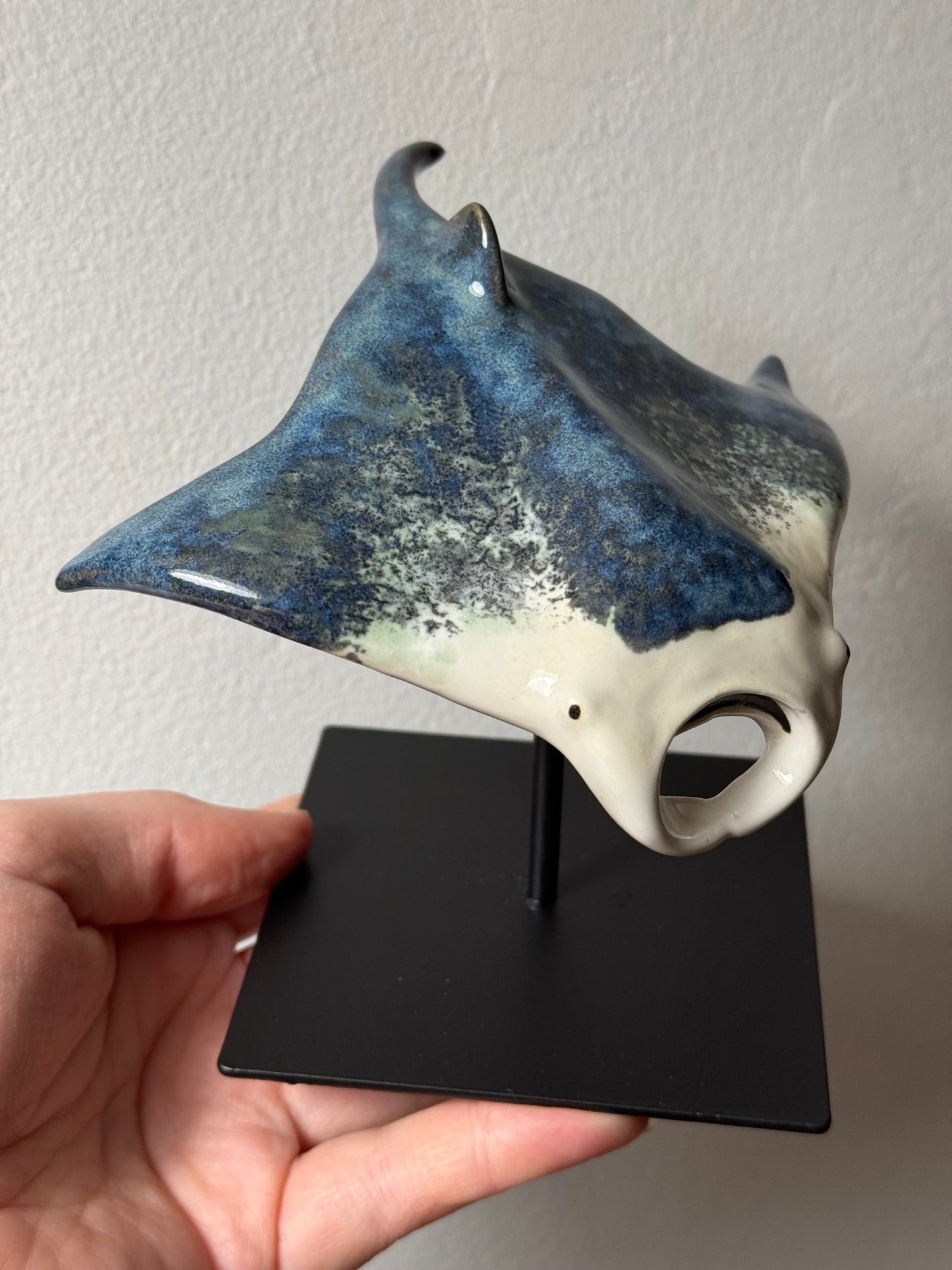 Manta Ray on a stand