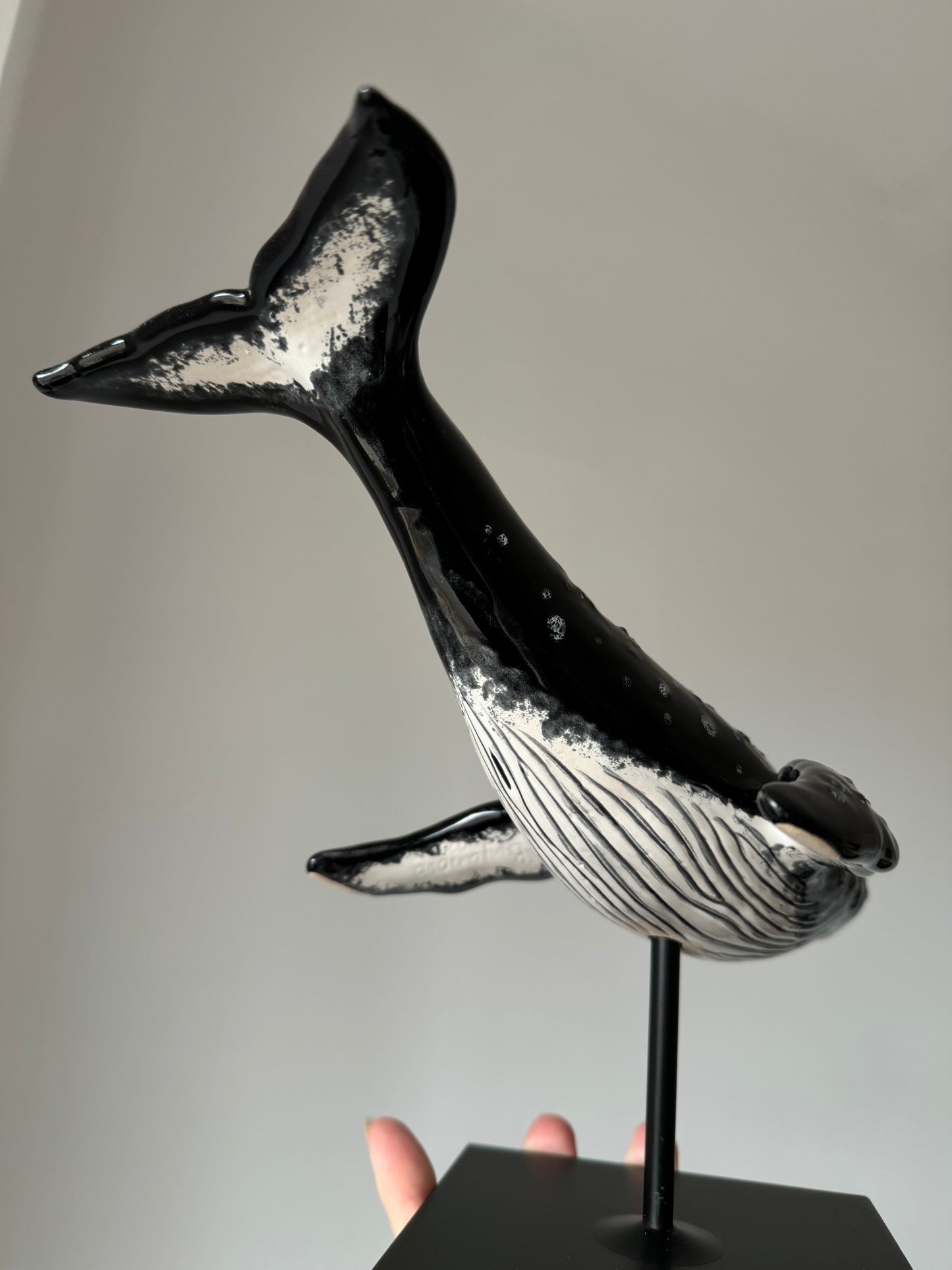 Humpback Whale on a stand