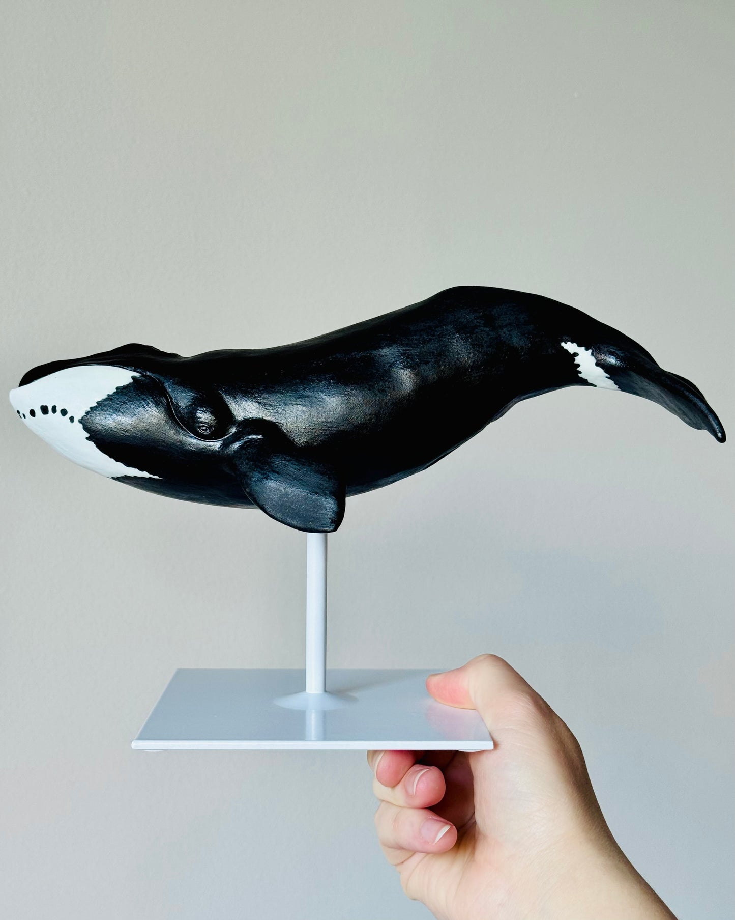 Bowhead Whale