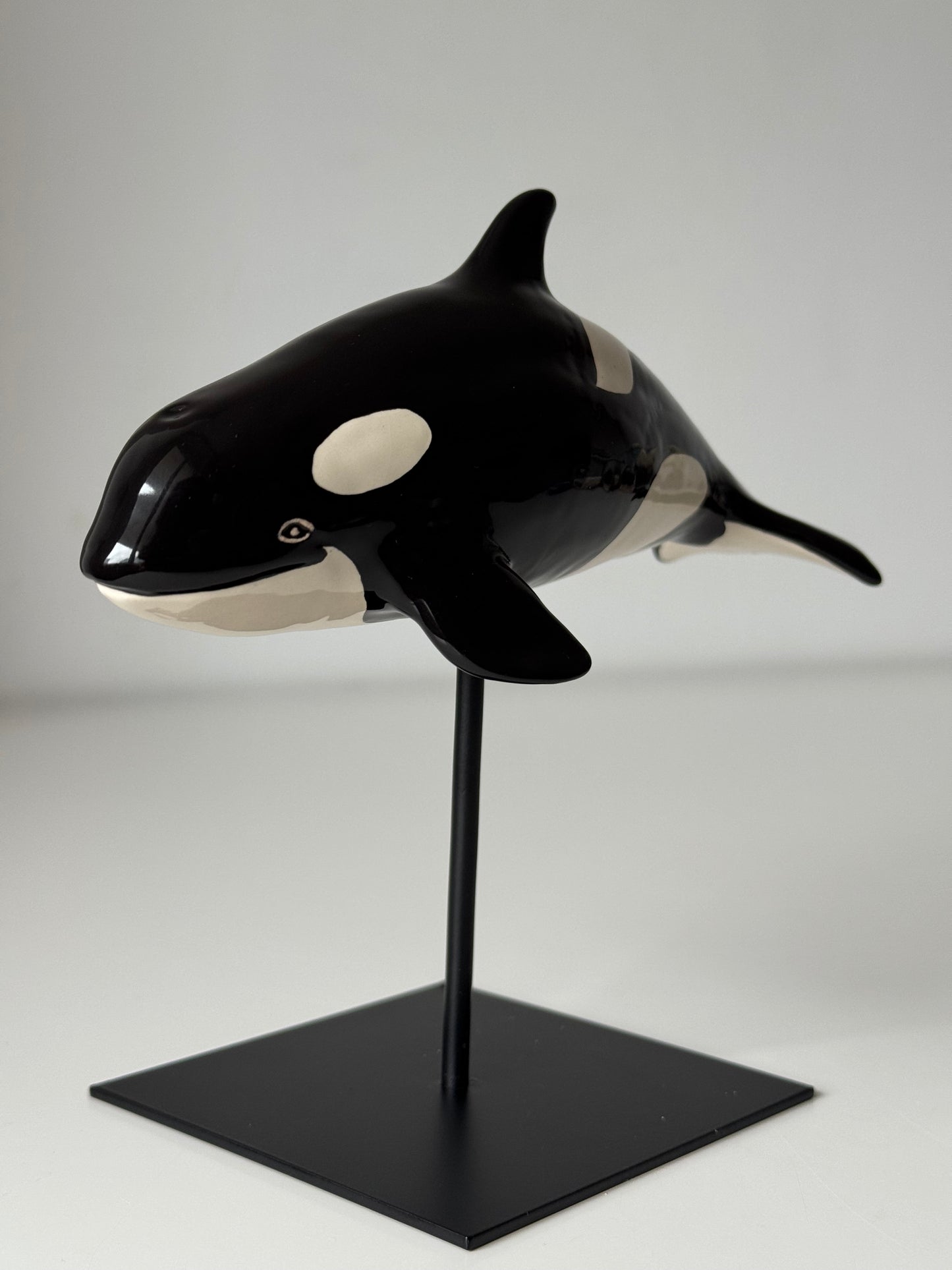 Baby Orca