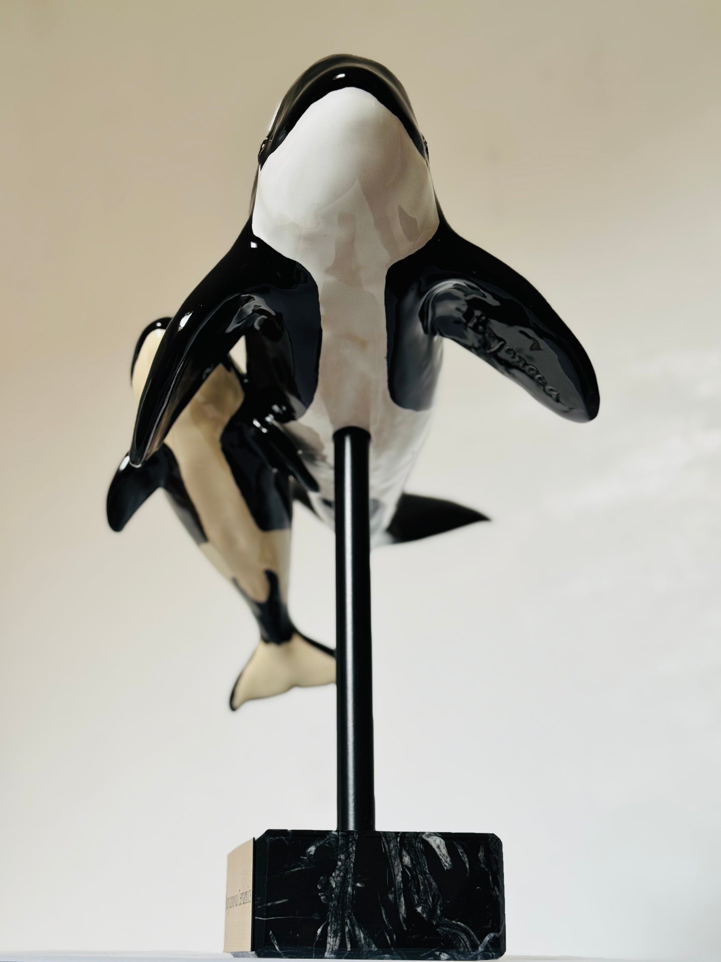 Mother and Calf Orcas