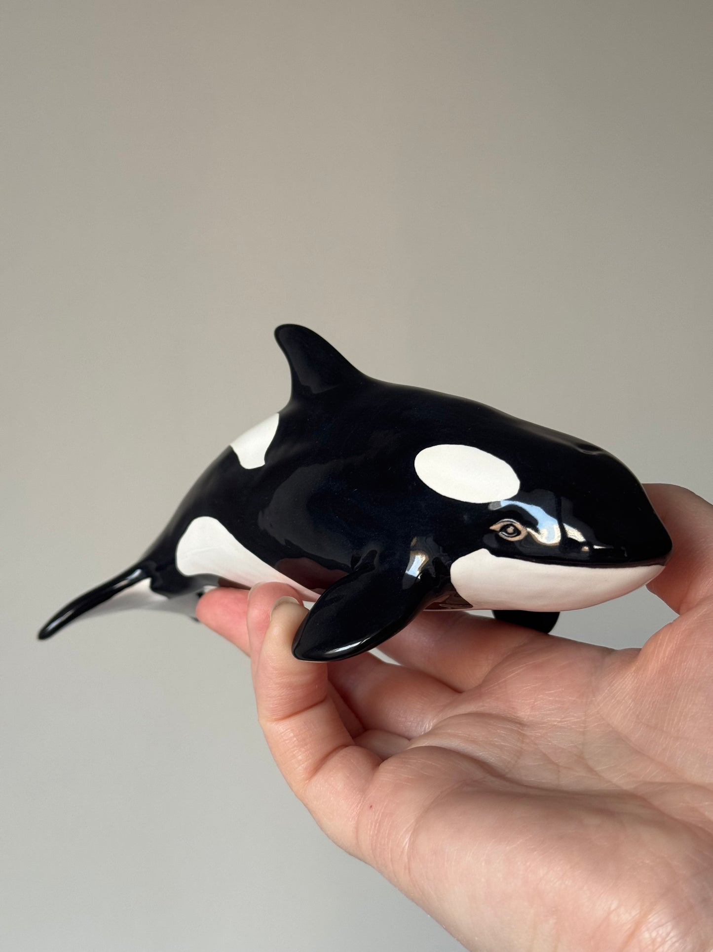 Baby Orca