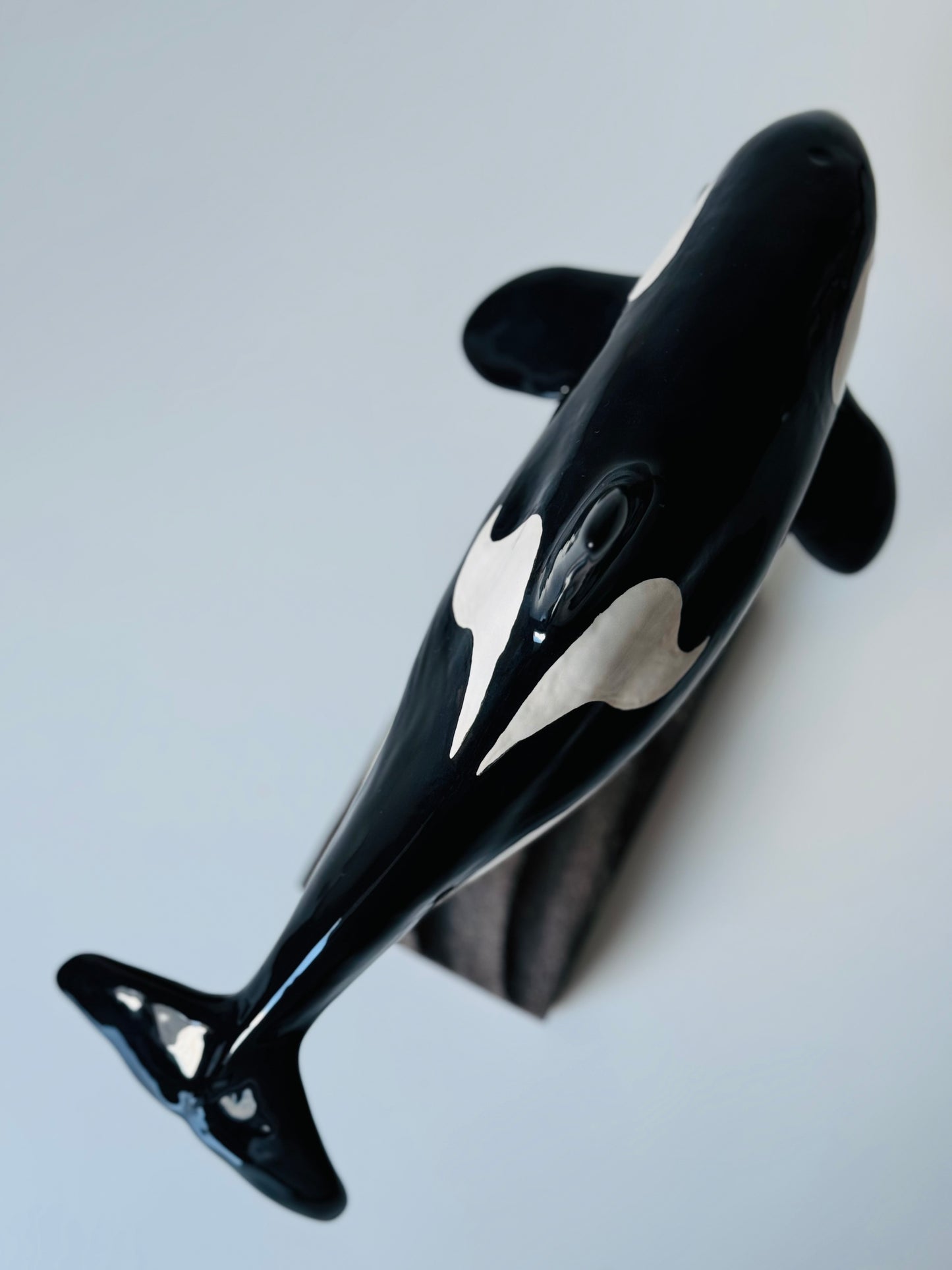 Orca on a stand