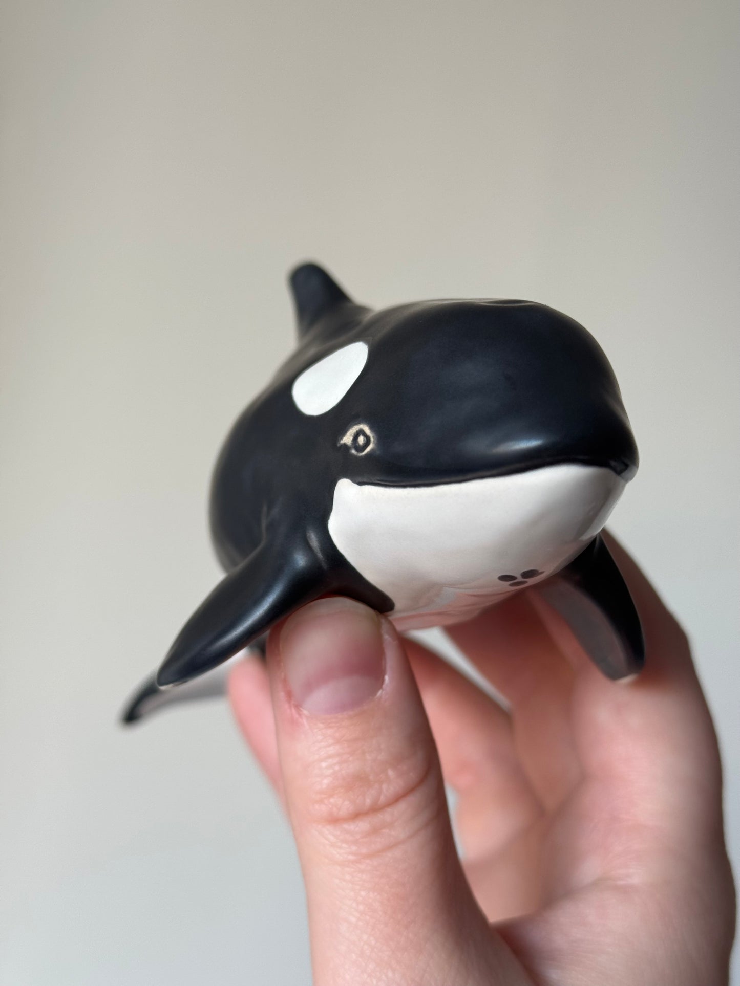 Baby Orca