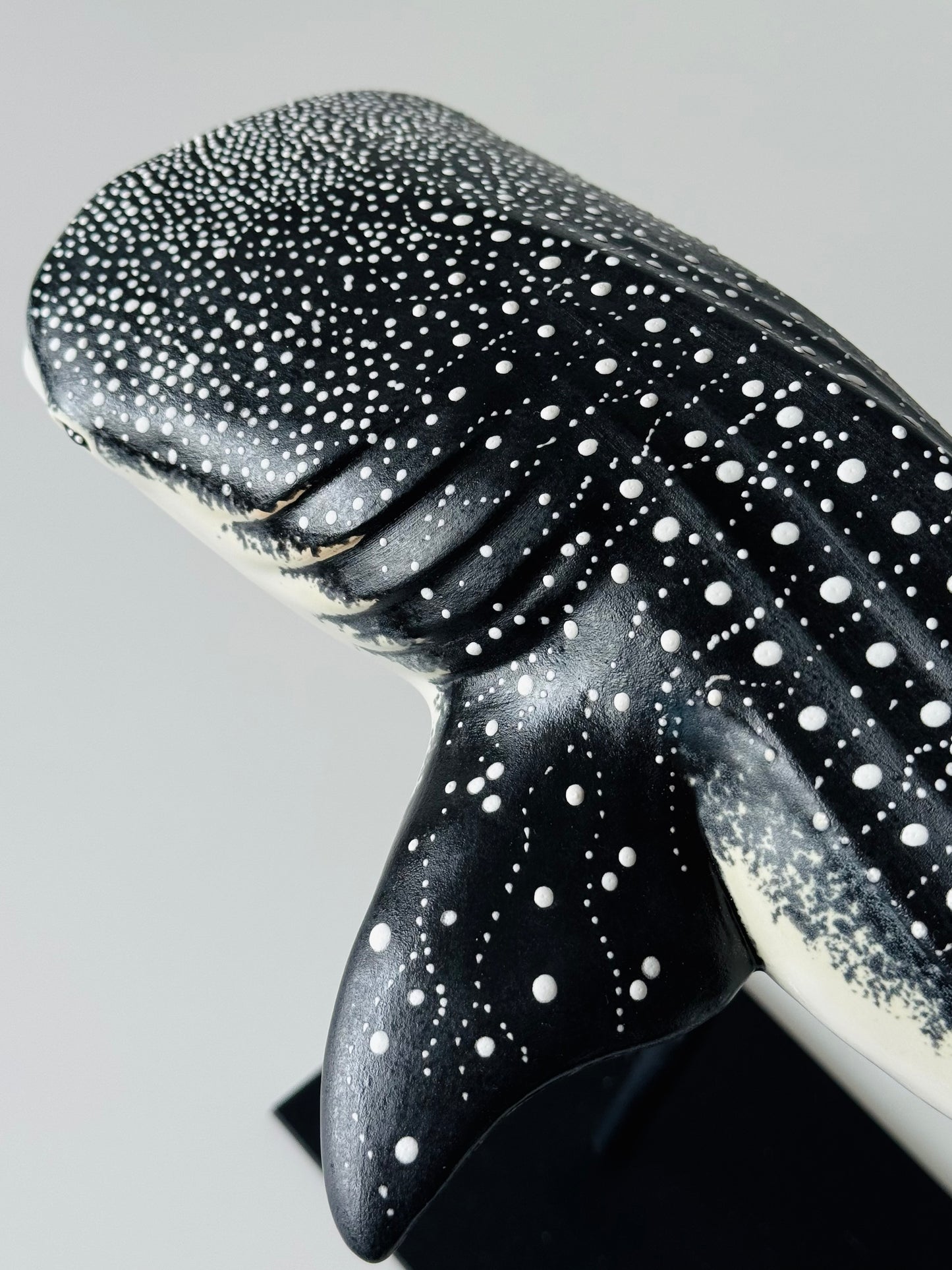 Whale Shark