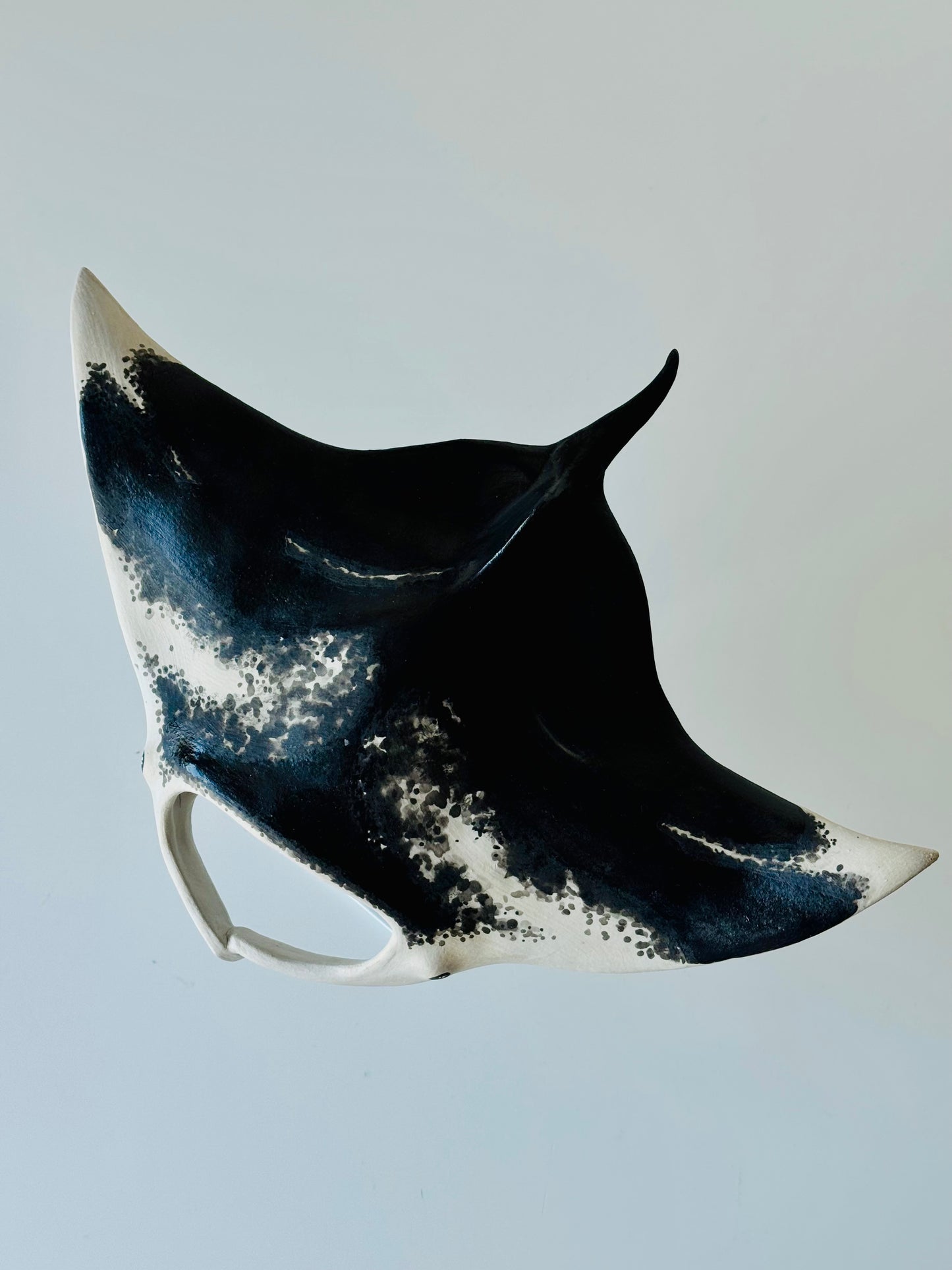 Big Manta Ray