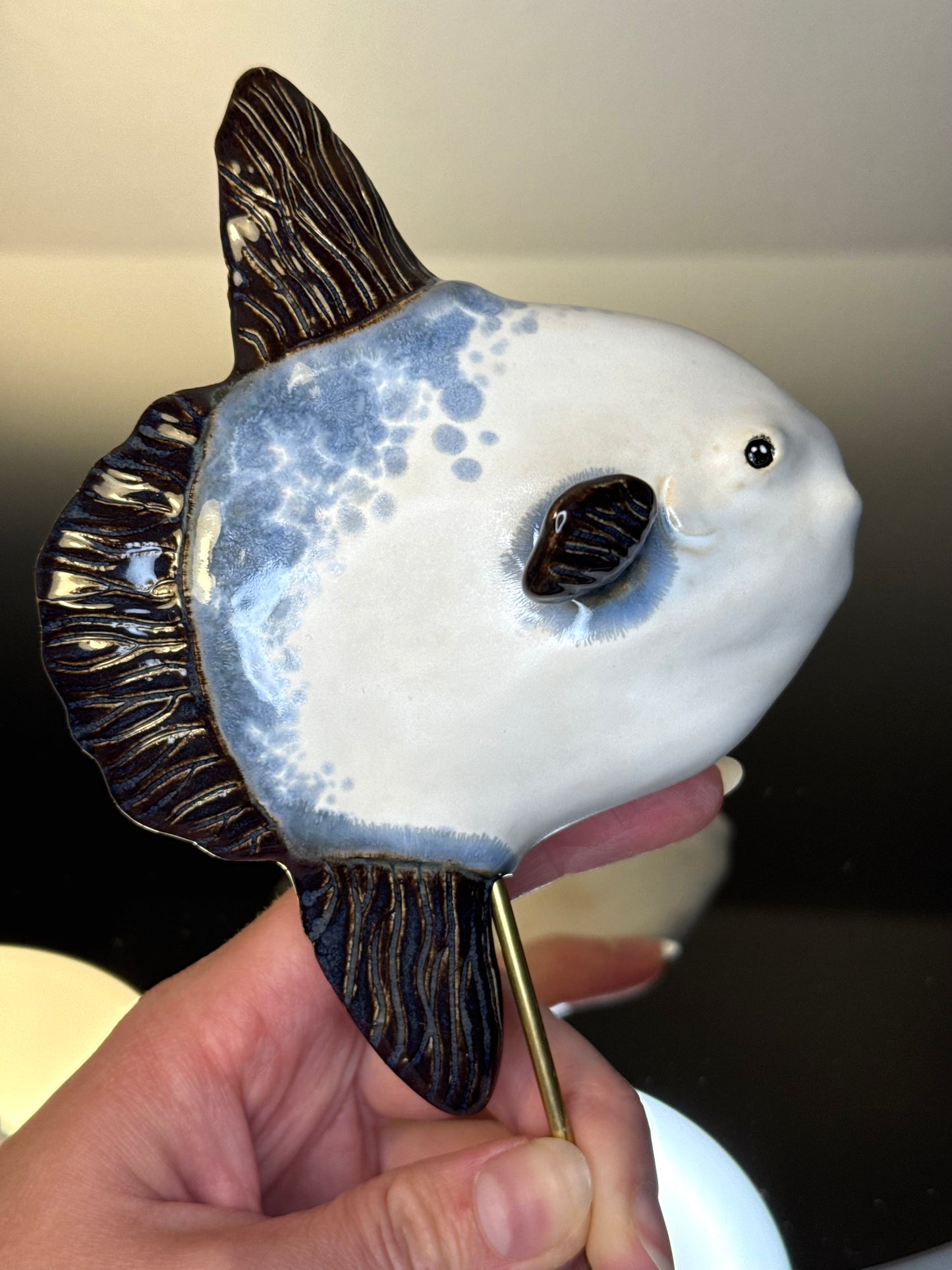 Mola Mola