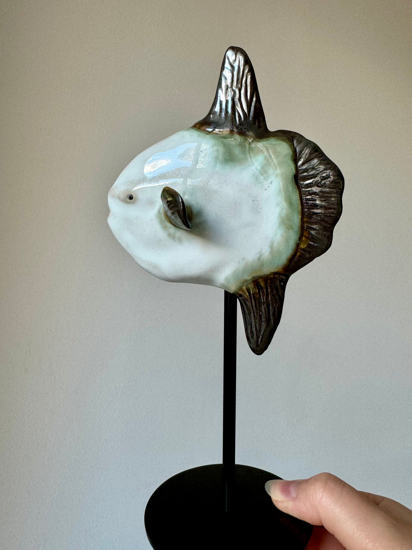 Mola Mola on a metal stand