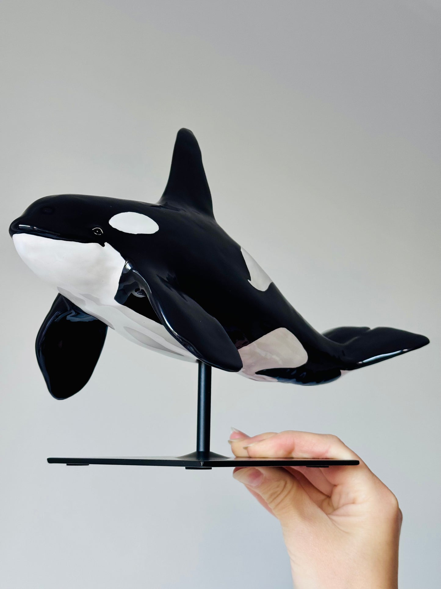 Male Orca on a stand