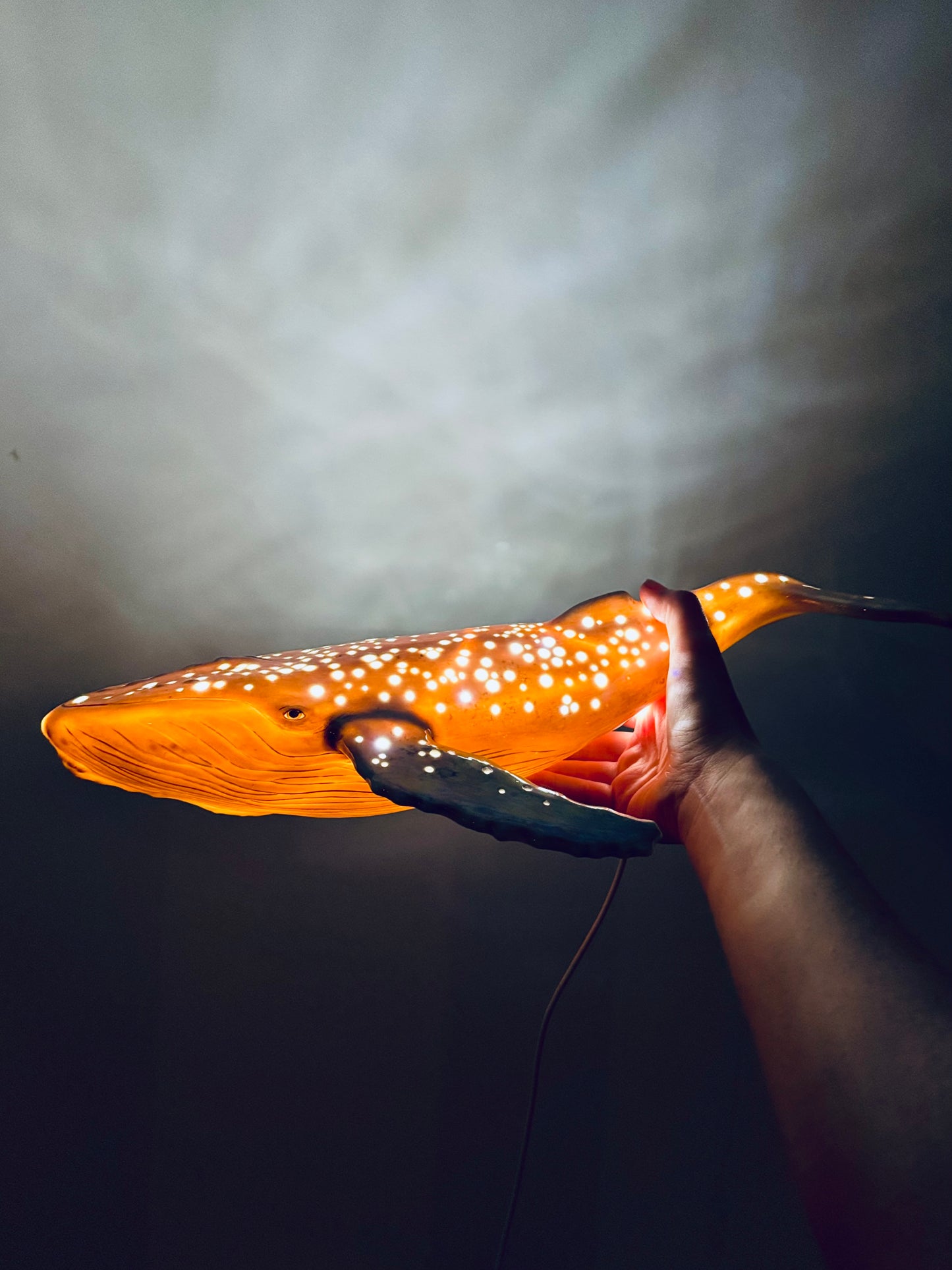 Whale Lamp