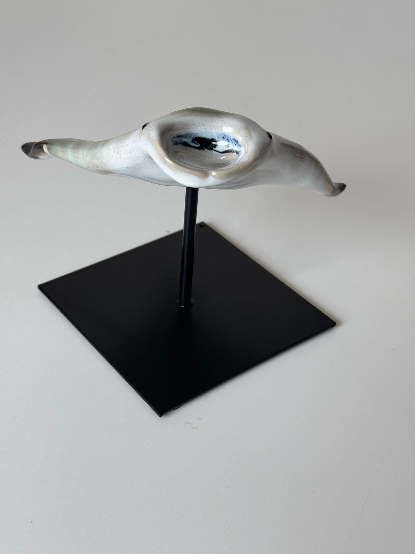 Manta Ray on a stand