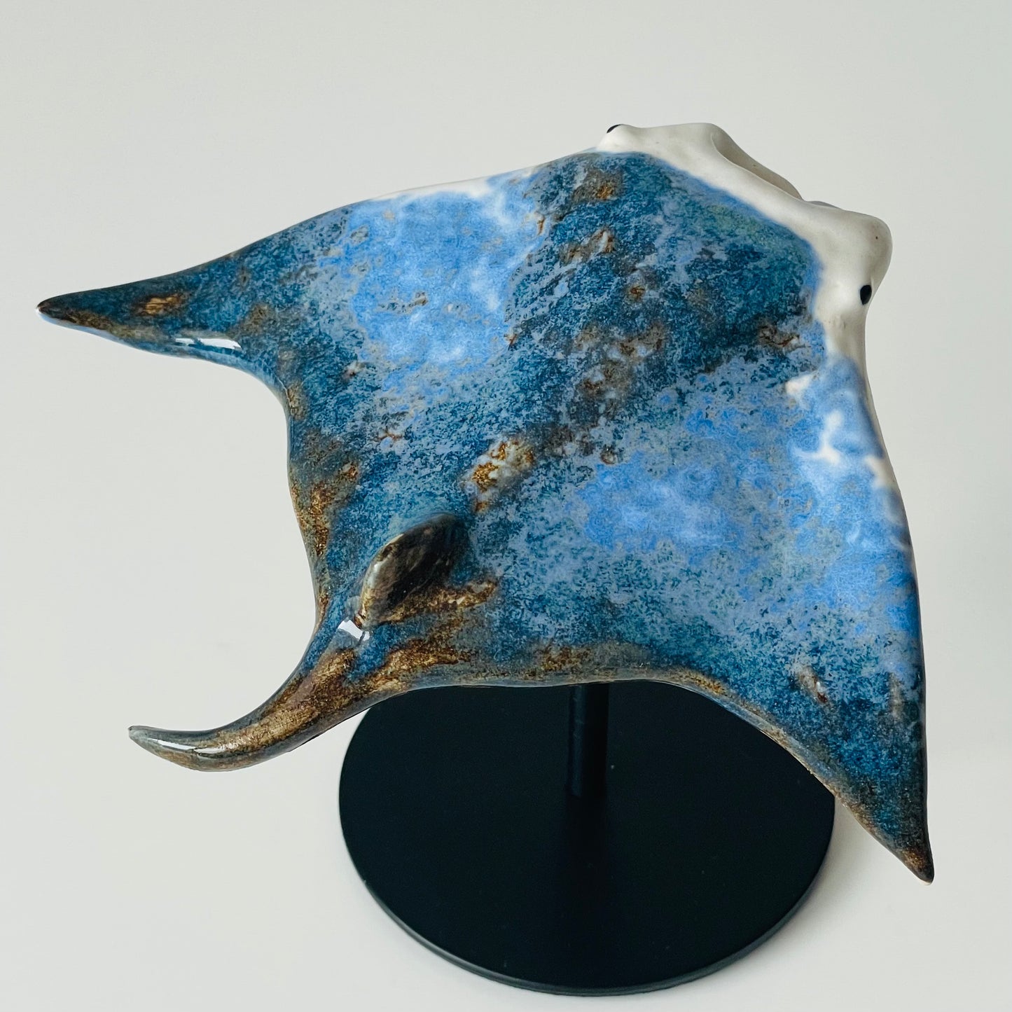Manta Ray on a metal stand