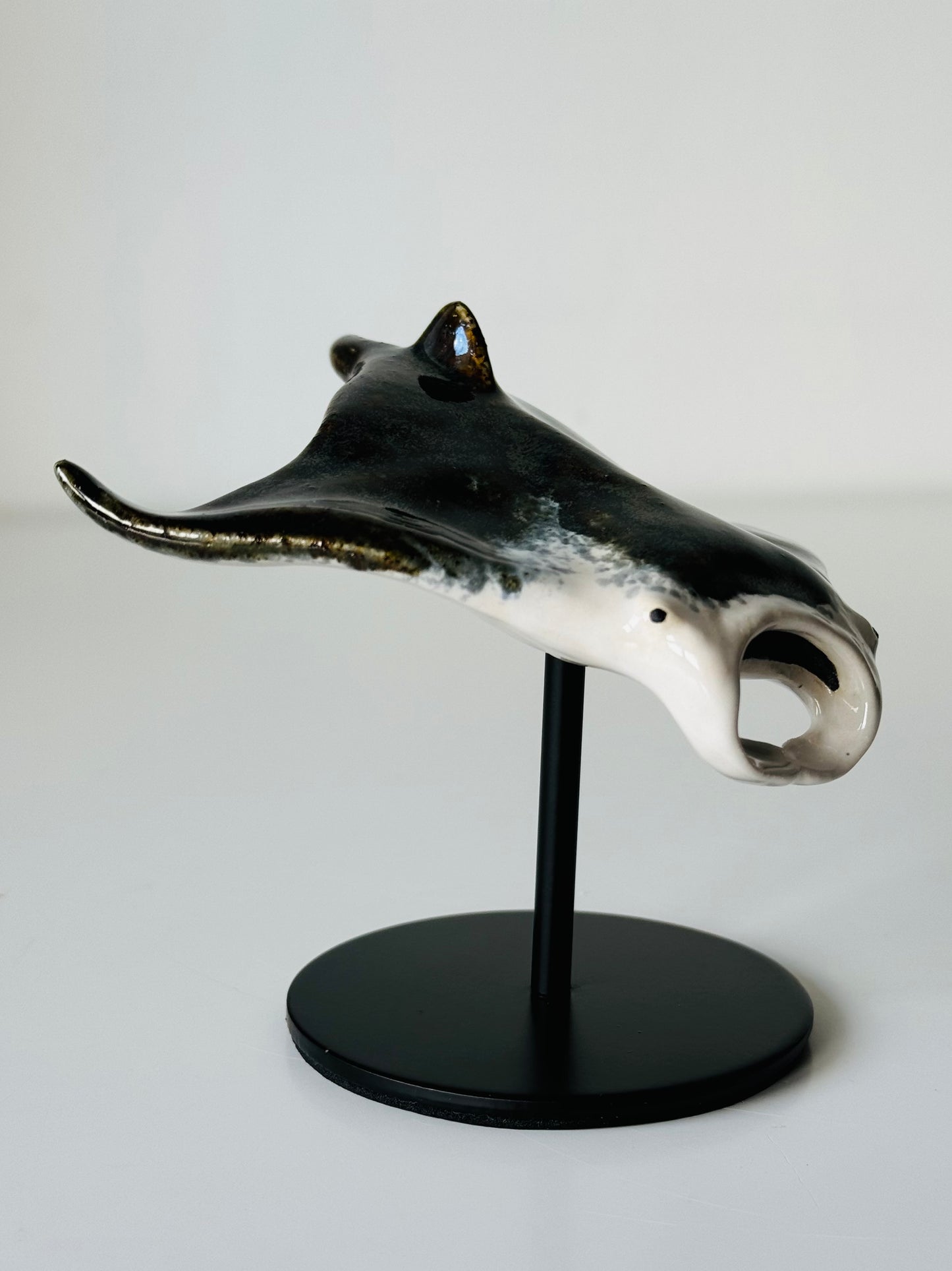 Manta Ray on a stand