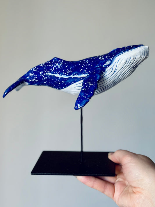 Baby Humpback Whale
