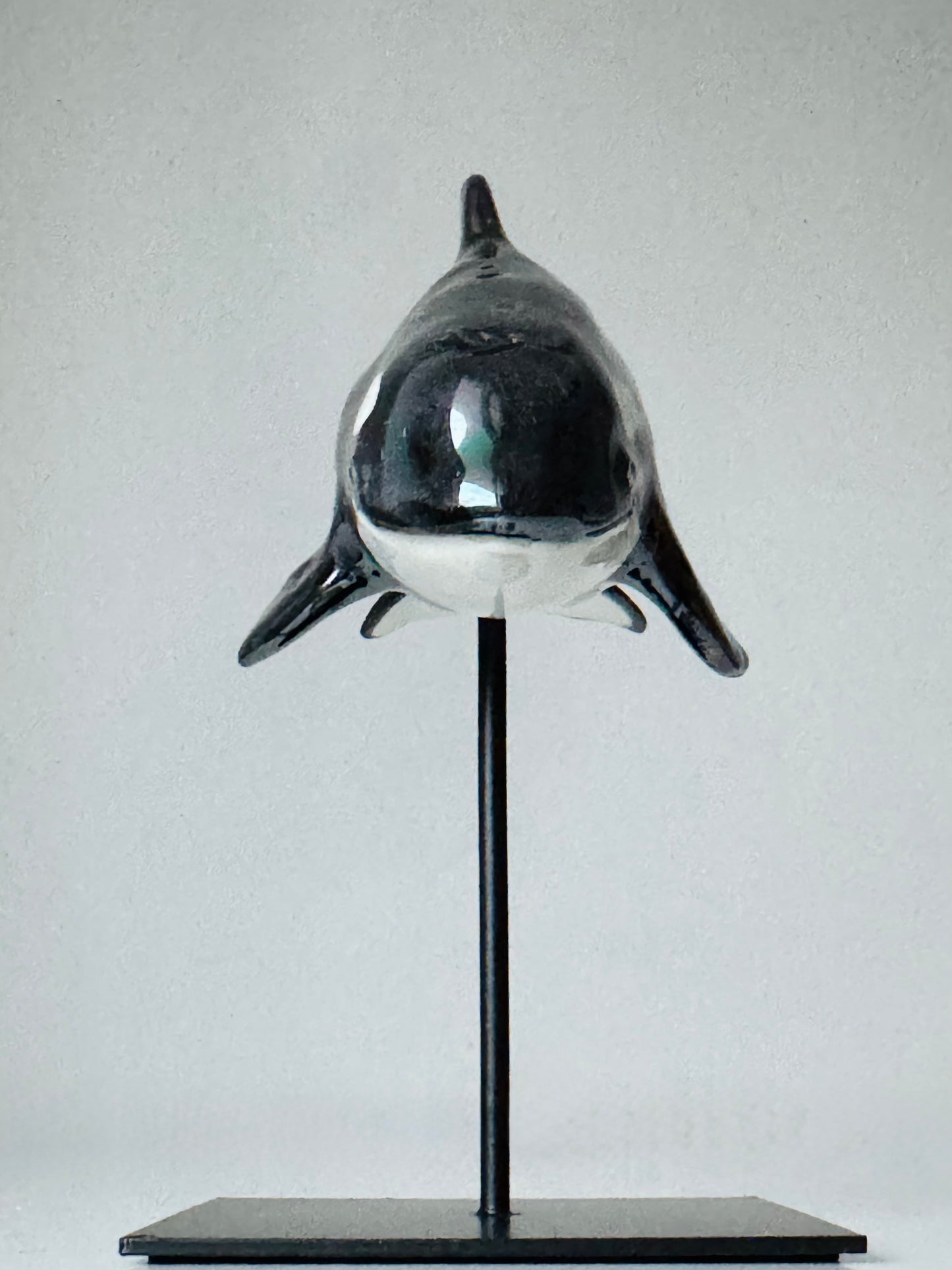 Baby Orca