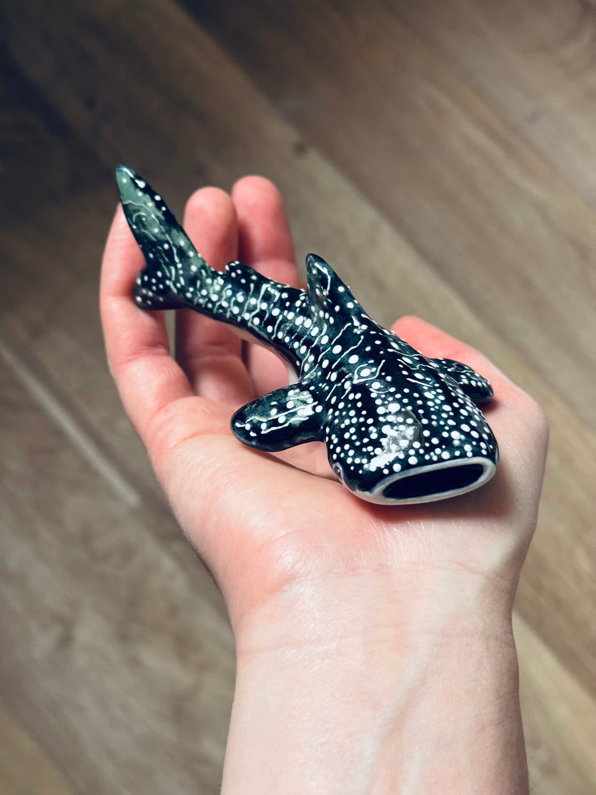 Baby Whale Shark