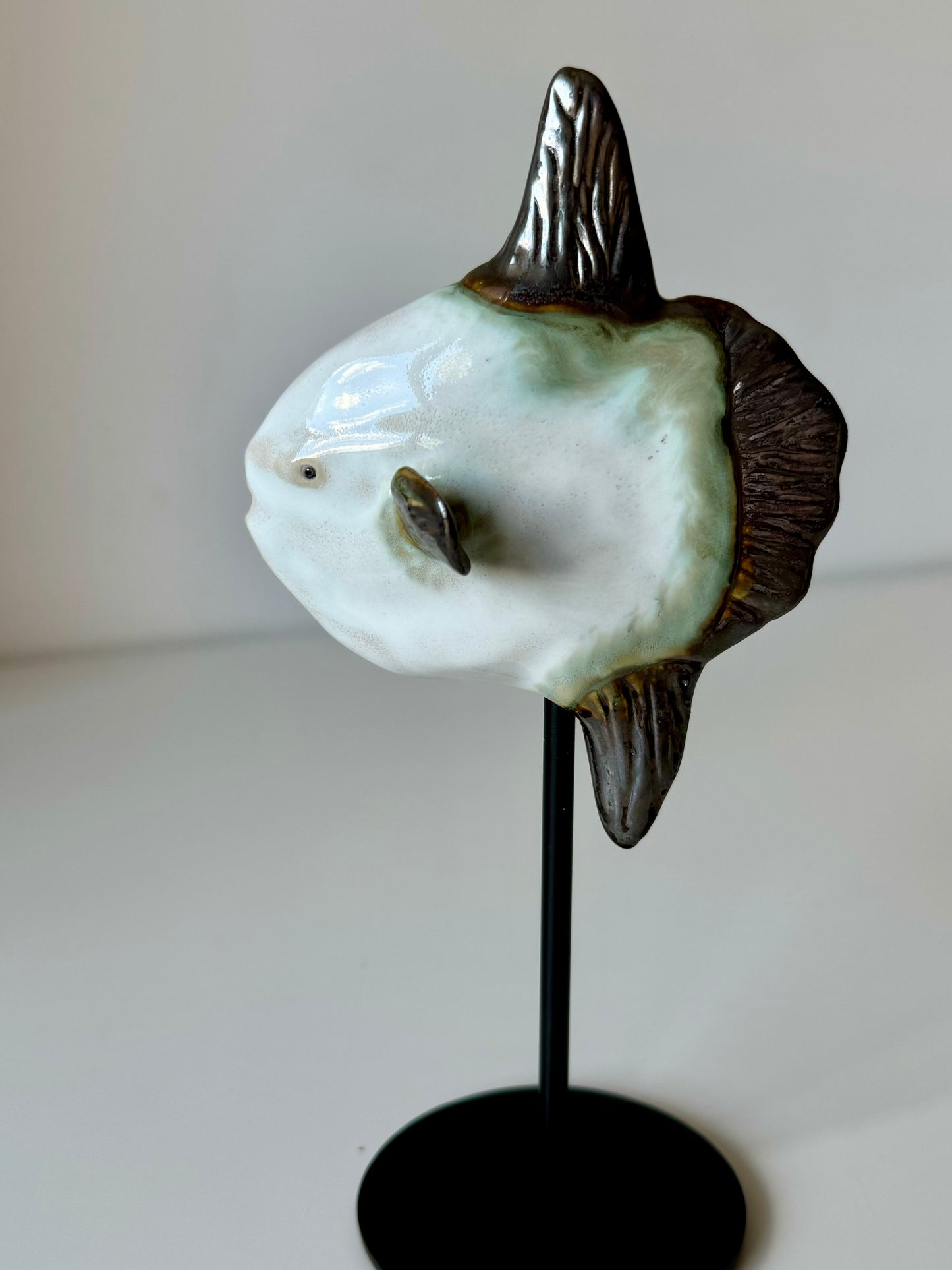 Mola Mola on a metal stand