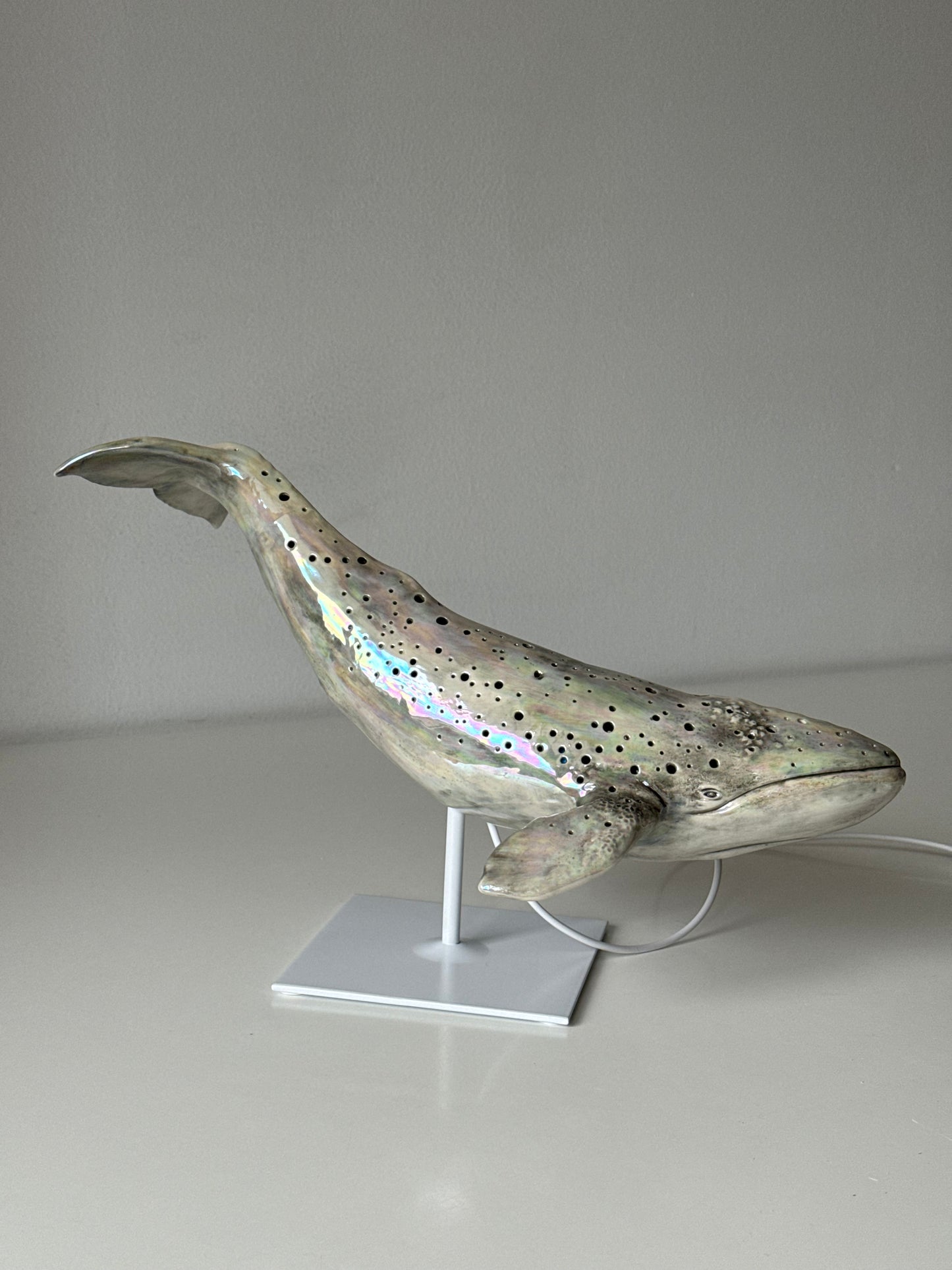 Gray whale lamp