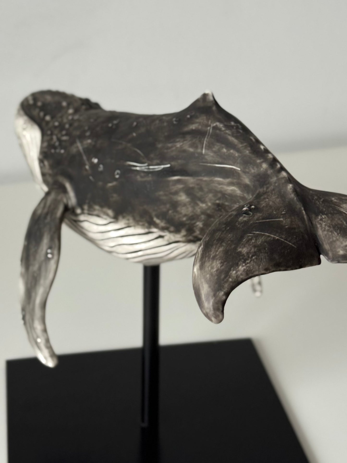 Big Humpback Whale